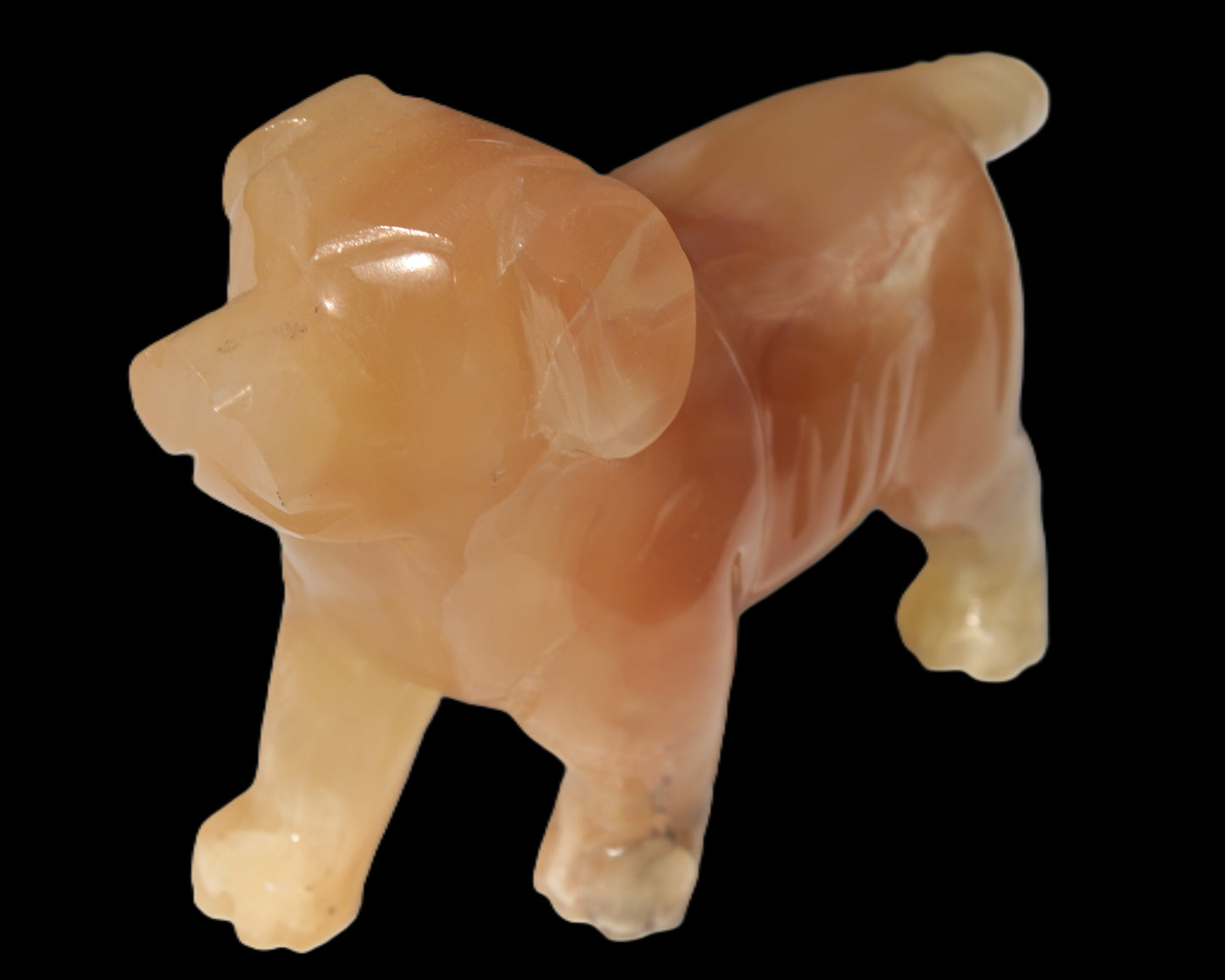 Honey Calcite hand-carved Dog 673g Rocks and Things