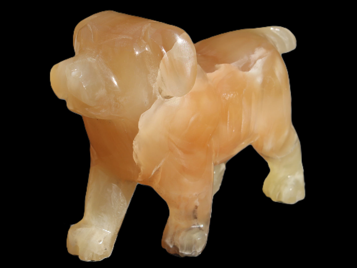 Honey Calcite hand-carved Dog 673g Rocks and Things