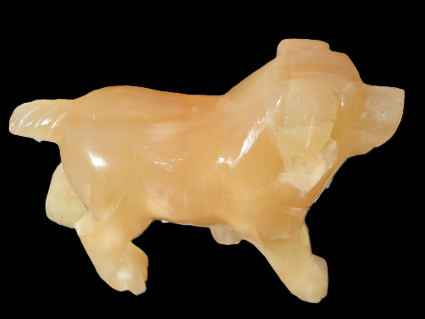 Honey Calcite hand-carved Dog 673g Rocks and Things