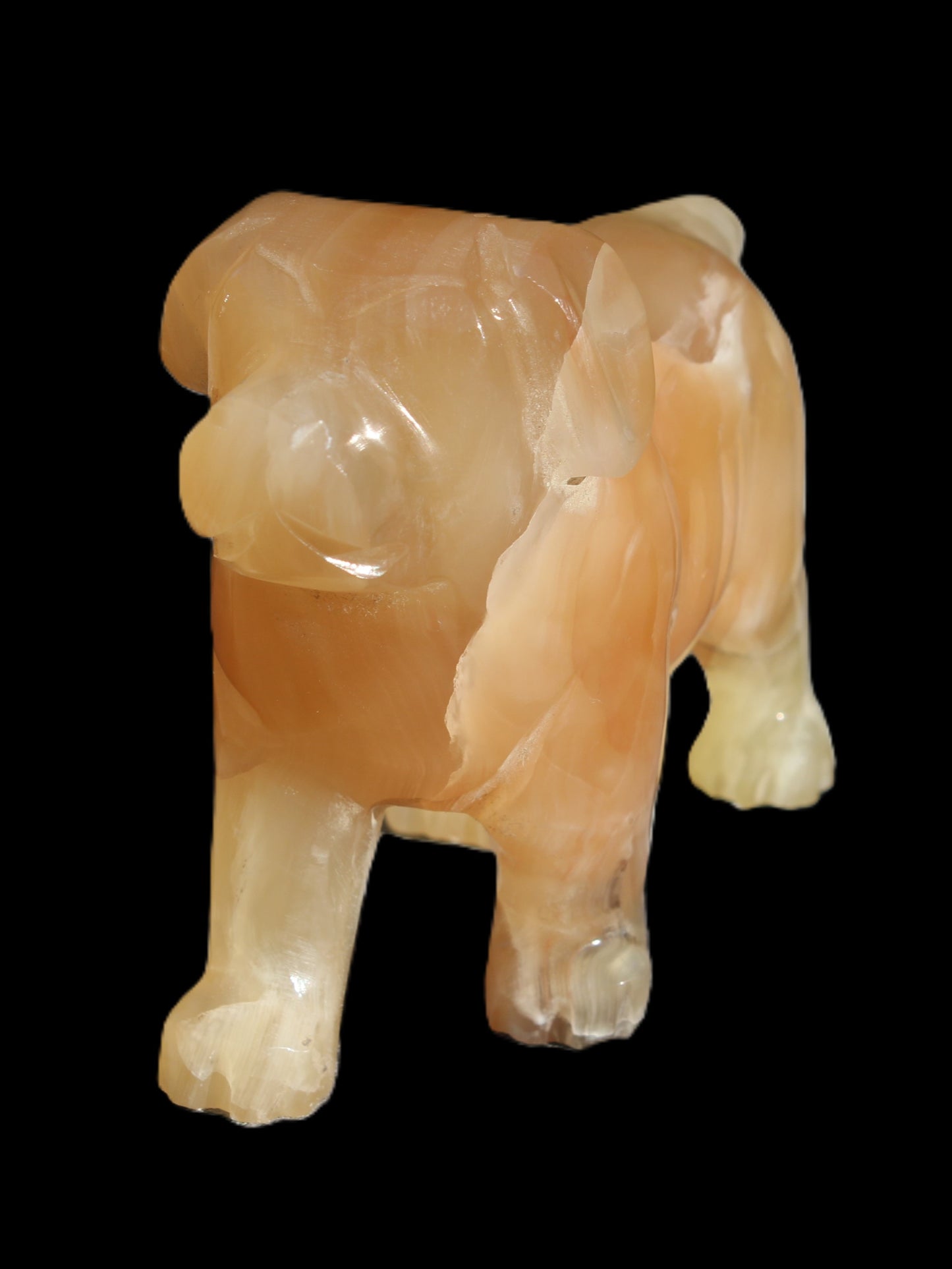 Honey Calcite hand-carved Dog 673g Rocks and Things