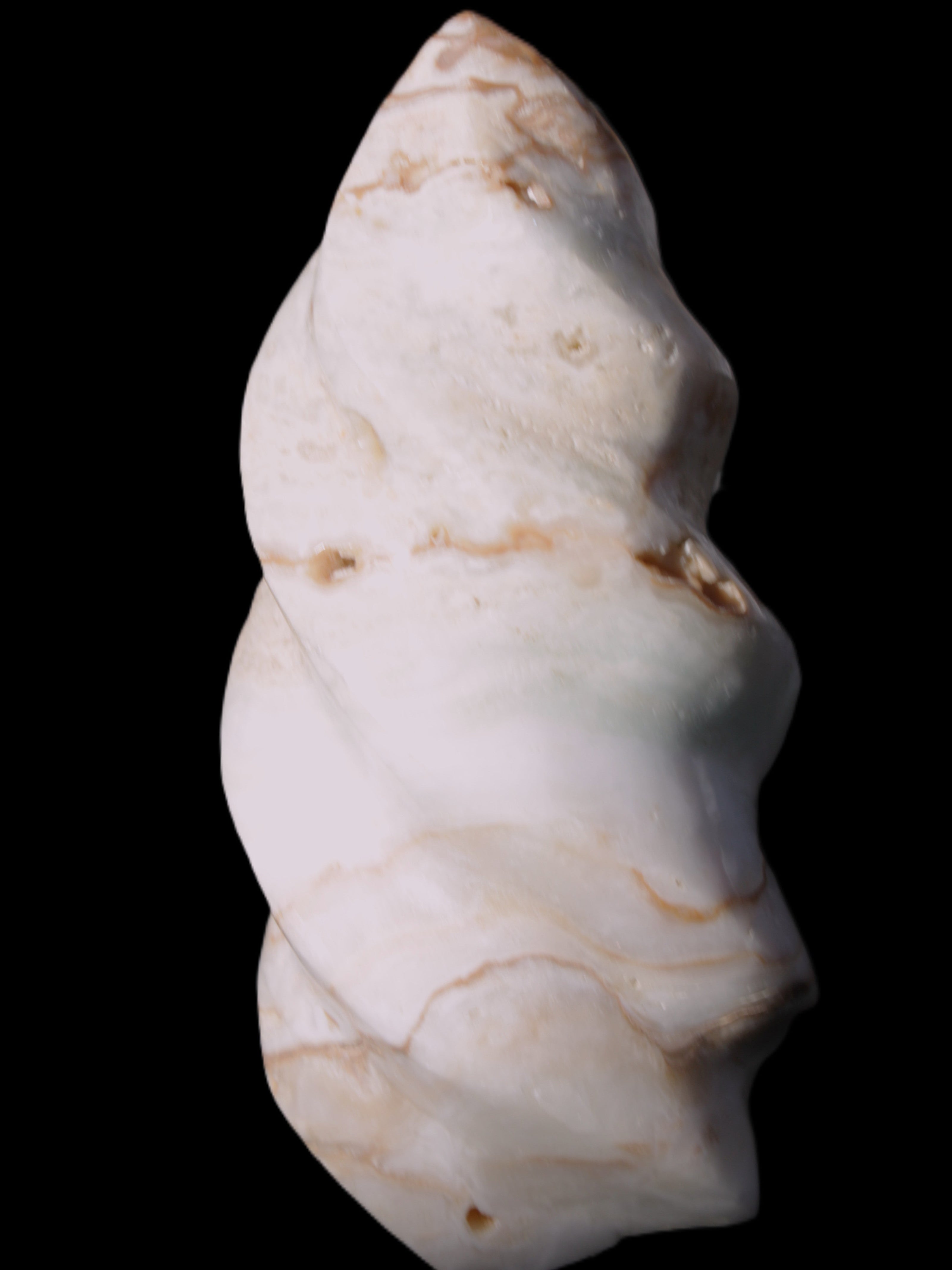 Caribbean Calcite flame 55*117mm 449.7g Rocks and Things Store