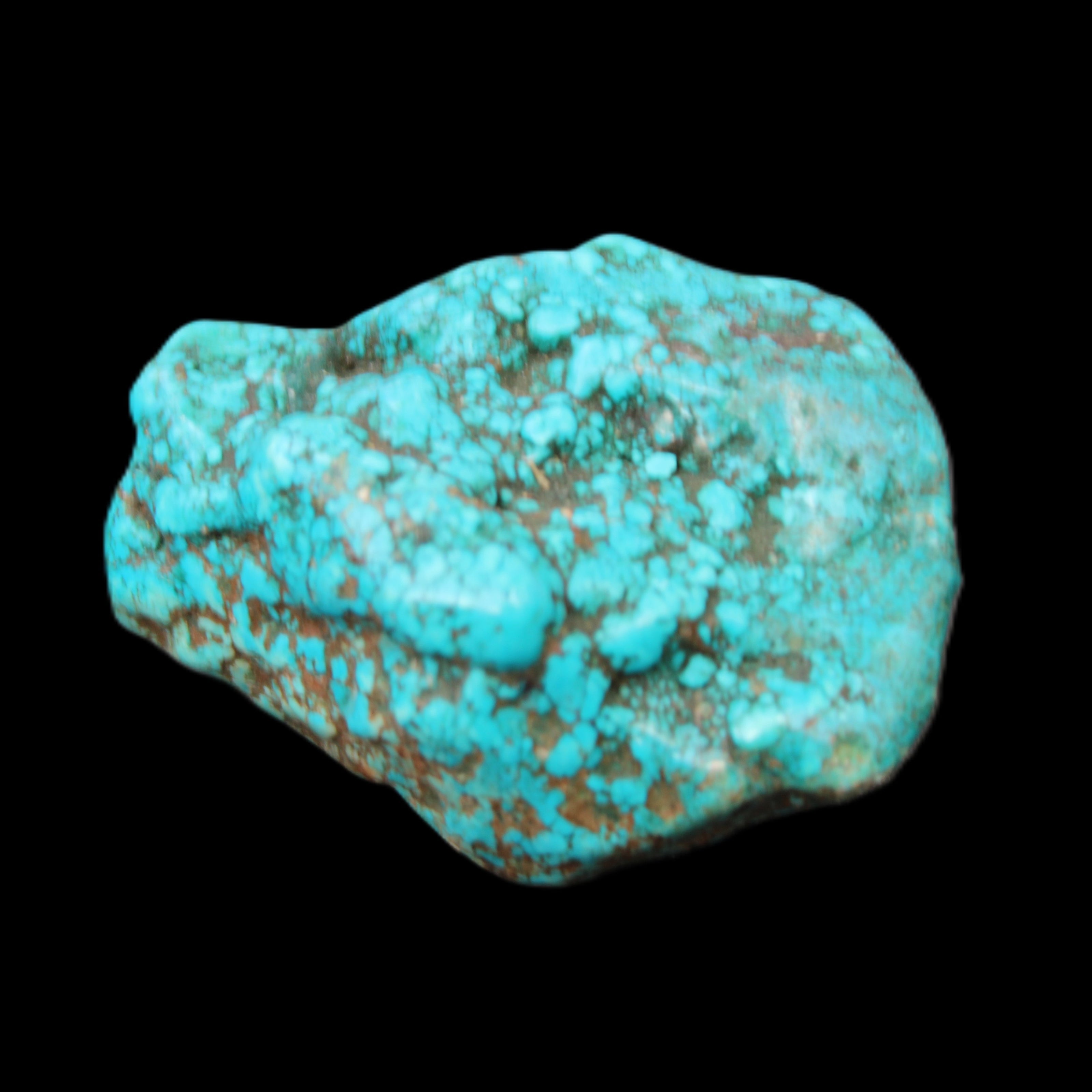 Persian Turquoise 45*35*25mm 50.7g in sunlight - Rocks and Things Store