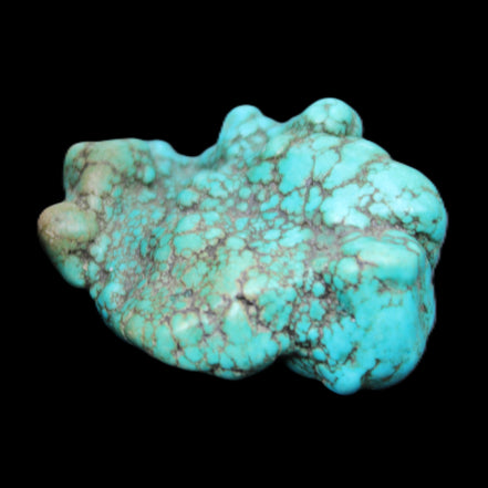 Persian Turquoise 42*32*18mm 25.3g in sunlight - Rocks and Things Store