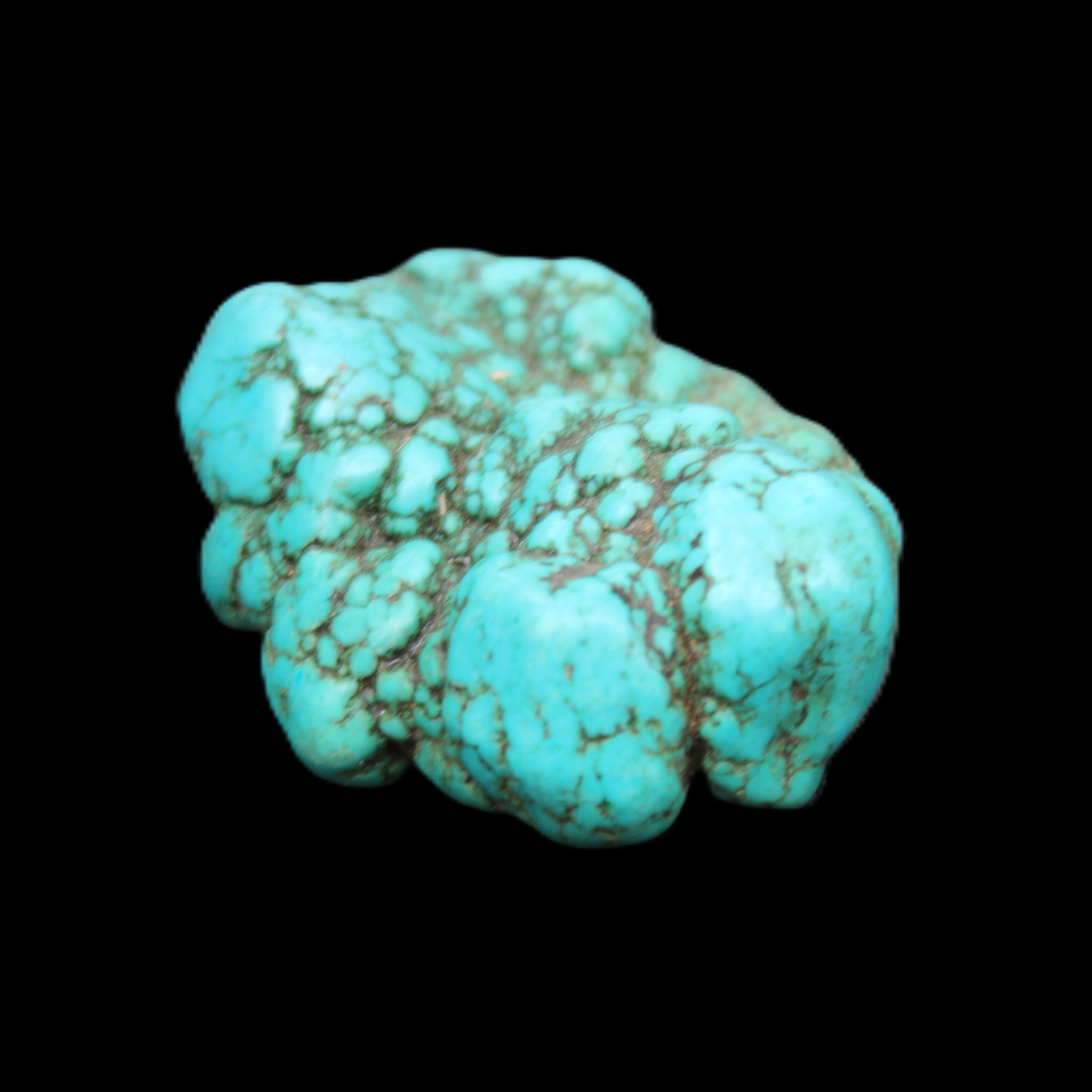 Persian Turquoise 42*32*18mm 25.3g in sunlight - Rocks and Things Store