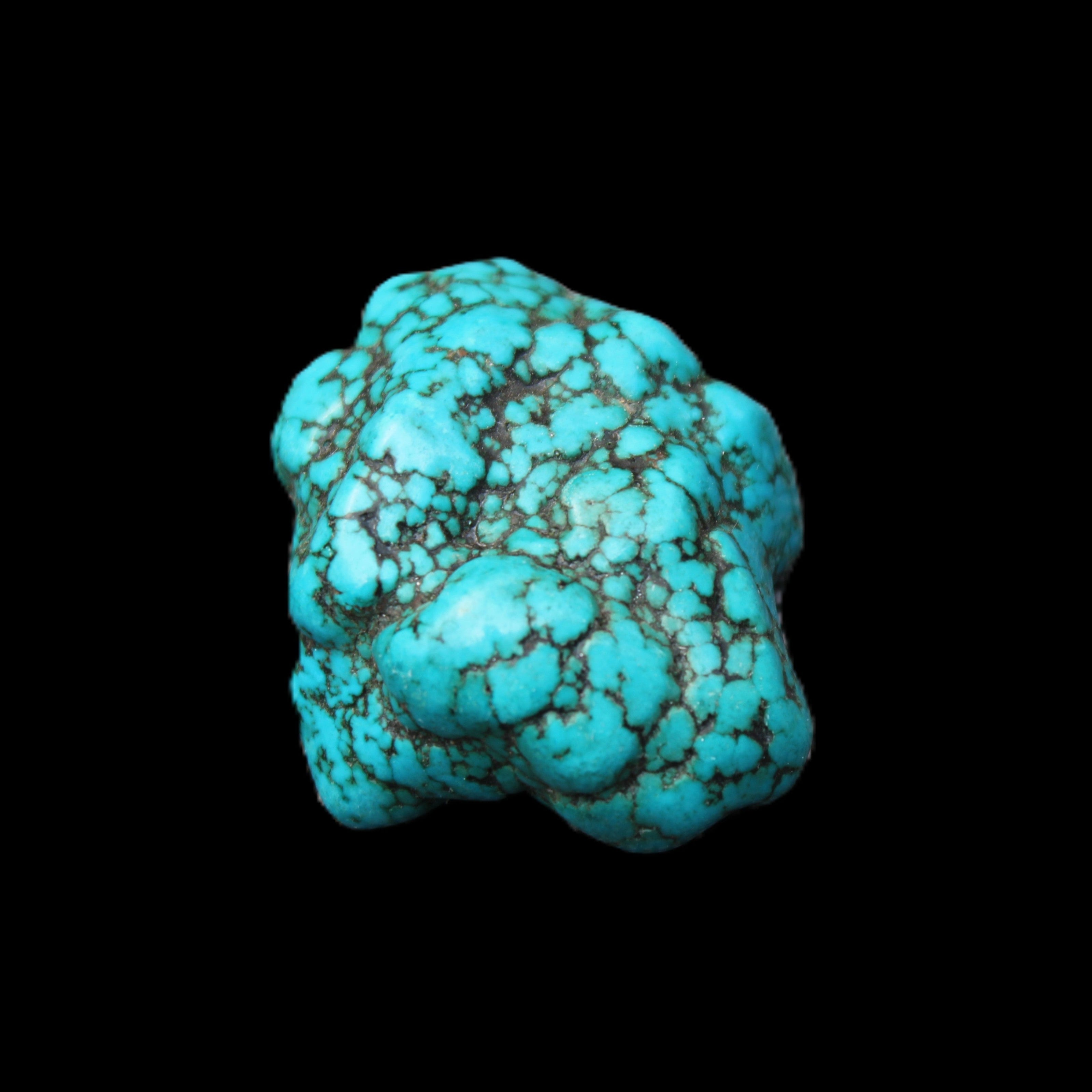 Persian Turquoise 38*26*16mm 25.0g in sunlight - Rocks and Things Store