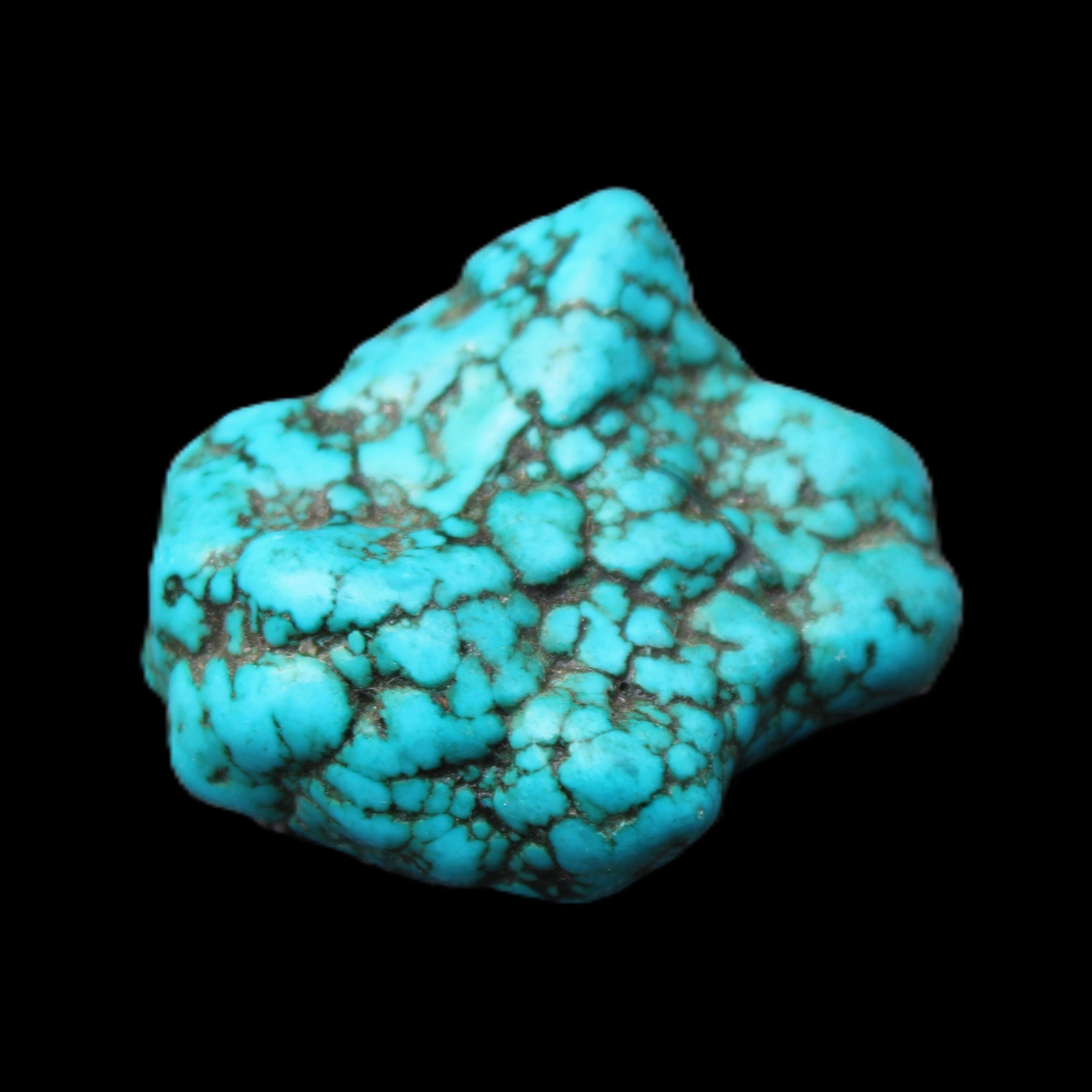 Persian Turquoise 38*26*16mm 25.0g in sunlight - Rocks and Things Store
