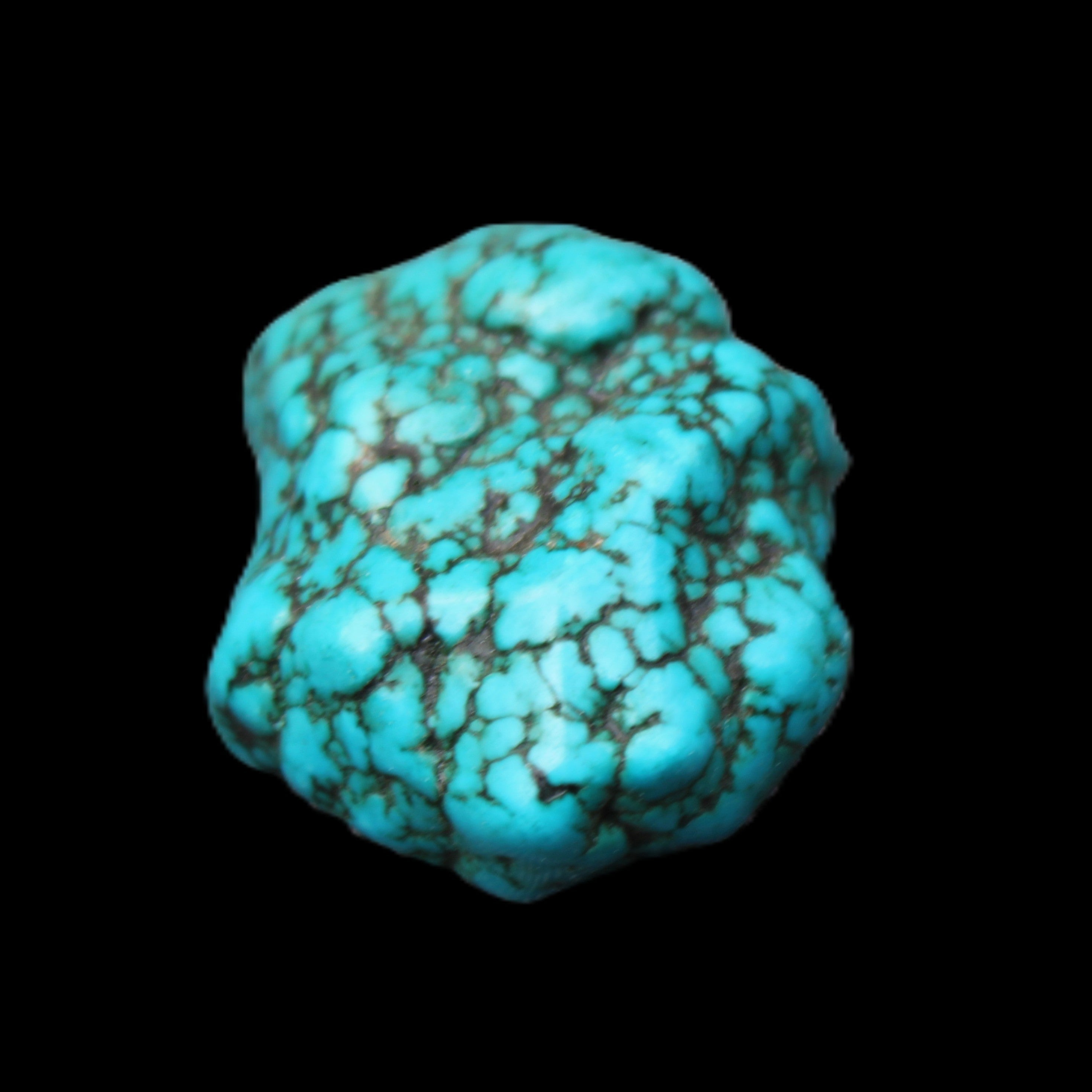 Persian Turquoise 38*26*16mm 25.0g in sunlight - Rocks and Things Store