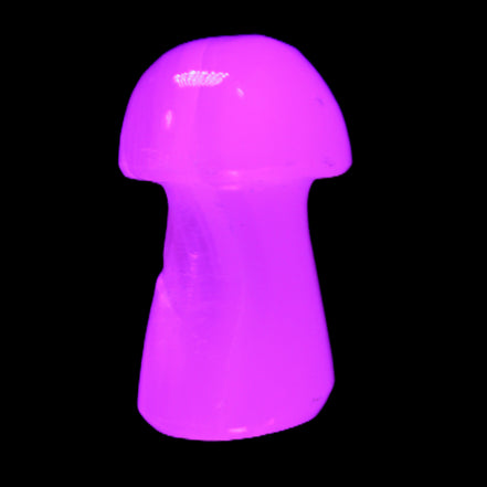 Mangano Calcite mushroom 25-32mmm 8-15g in UV light - Rocks and Things Store