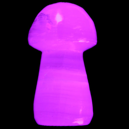 Mangano Calcite mushroom 25-32mmm 8-15g in UV light - Rocks and Things Store