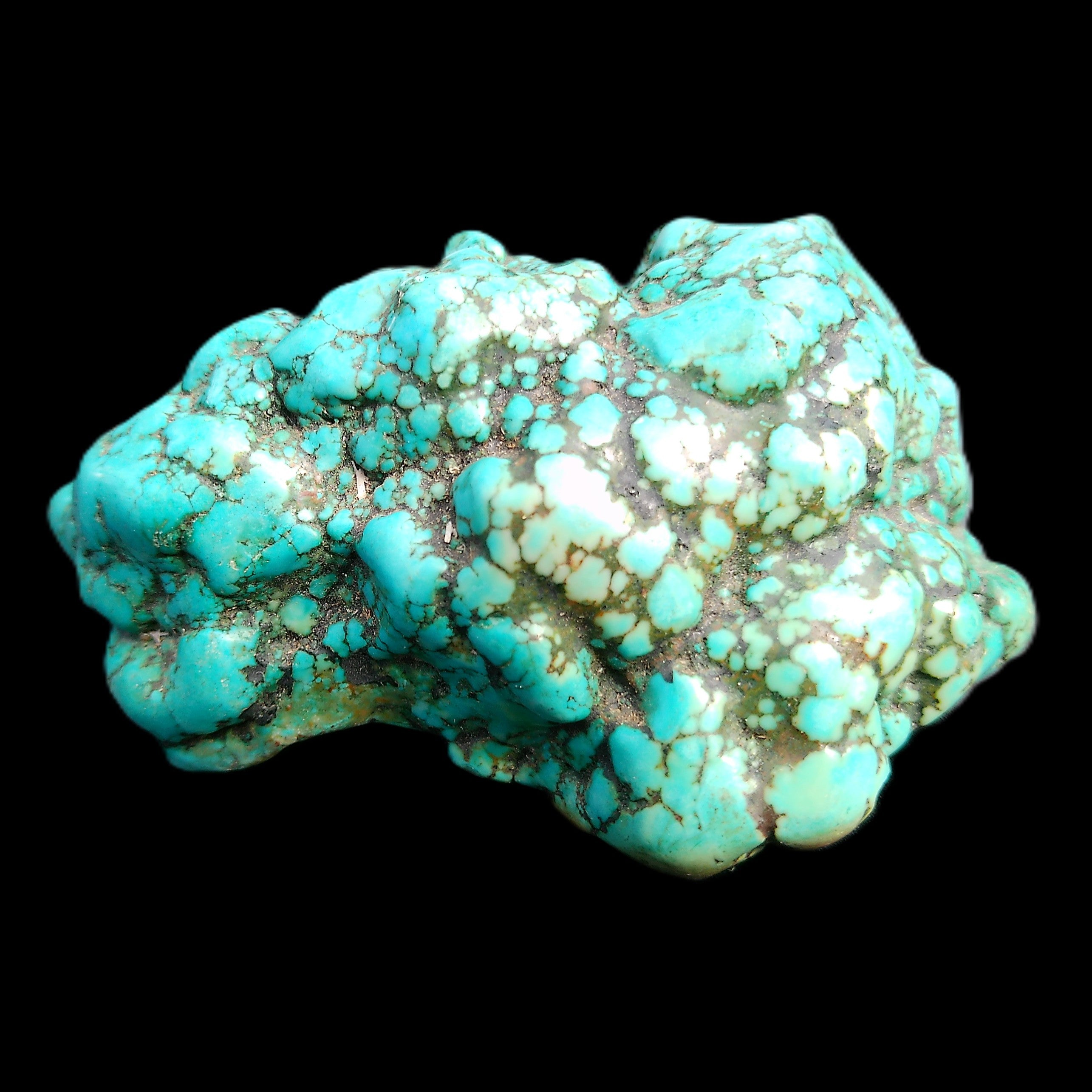 Persian Turquoise 75*55mm 134.5g in sunlight - Rocks and Things Store
