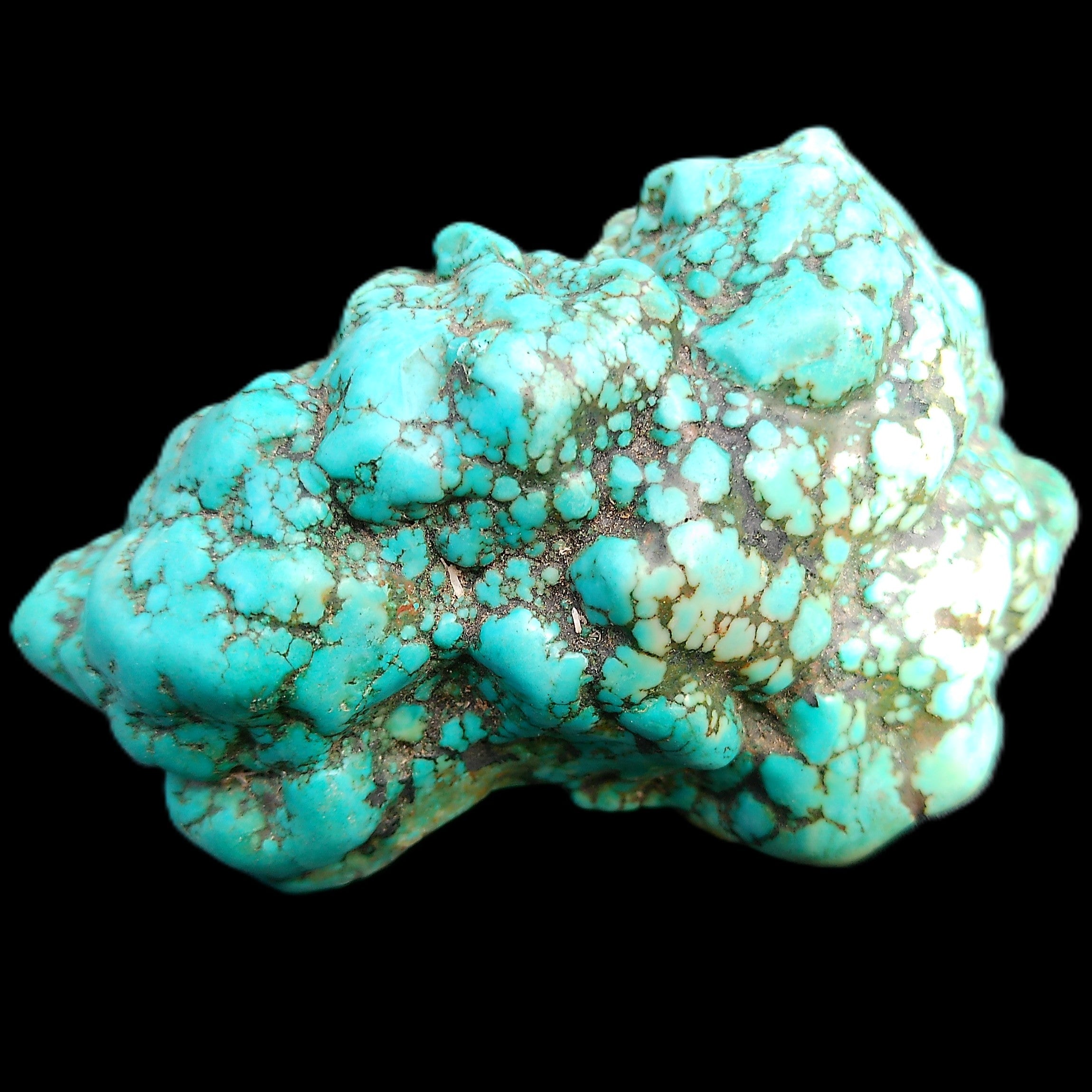 Persian Turquoise 75*55mm 134.5g in sunlight - Rocks and Things Store