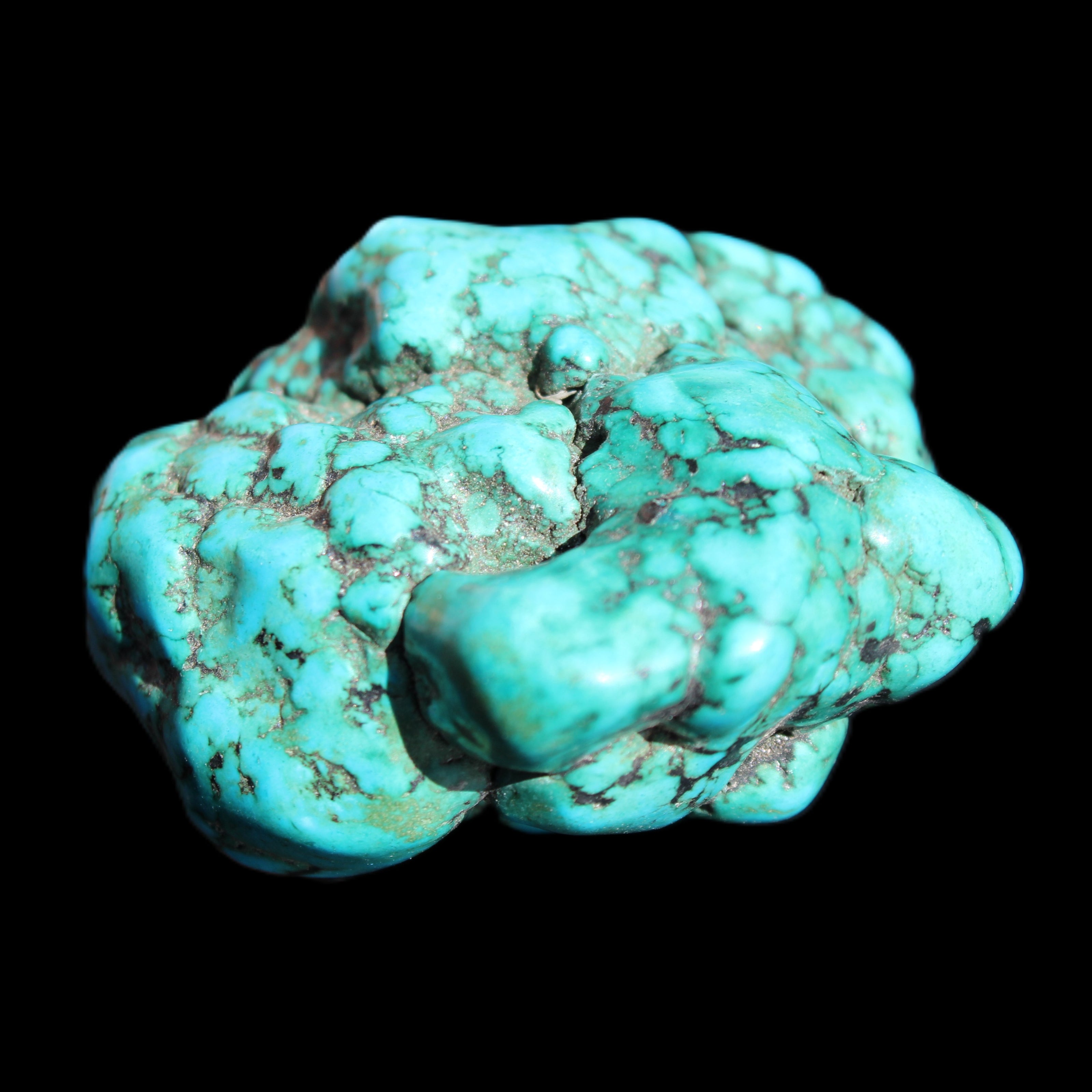 Persian Turquoise 45*39mm 68.9g in sunlight - Rocks and Things Store