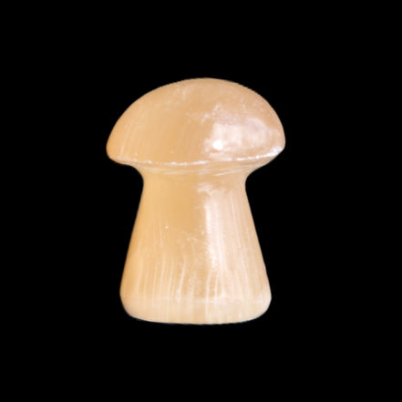 Clear Afghan Jade mushroom 25-32mm 11-15g in sunlight - Rocks and Things Store