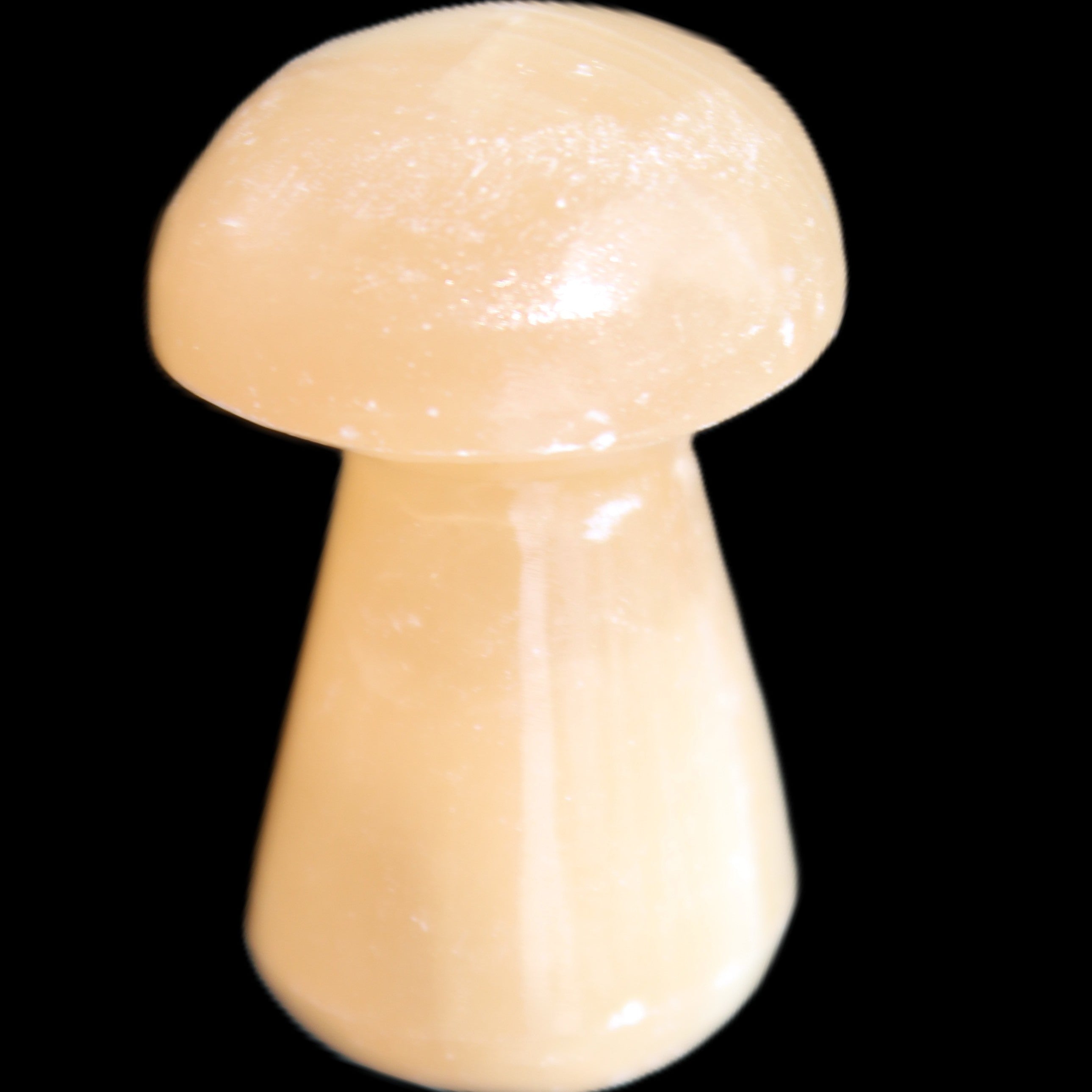 Clear Afghan Jade mushroom 25-32mm 11-15g in sunlight - Rocks and Things Store