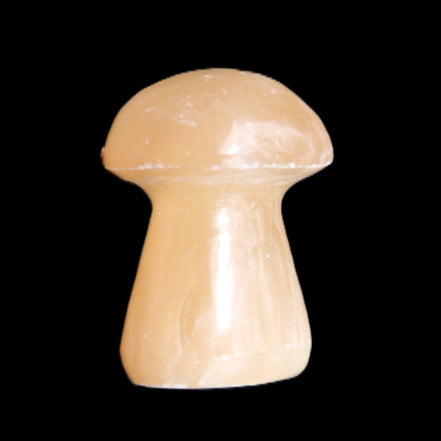 Clear Afghan Jade mushroom 25-32mm 11-15g in sunlight - Rocks and Things Store