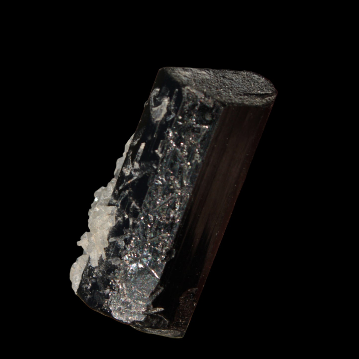 Black Tourmaline with Mica from Skardu, Pakistan 39.2ct 7.9g - Rocks and Things Store
