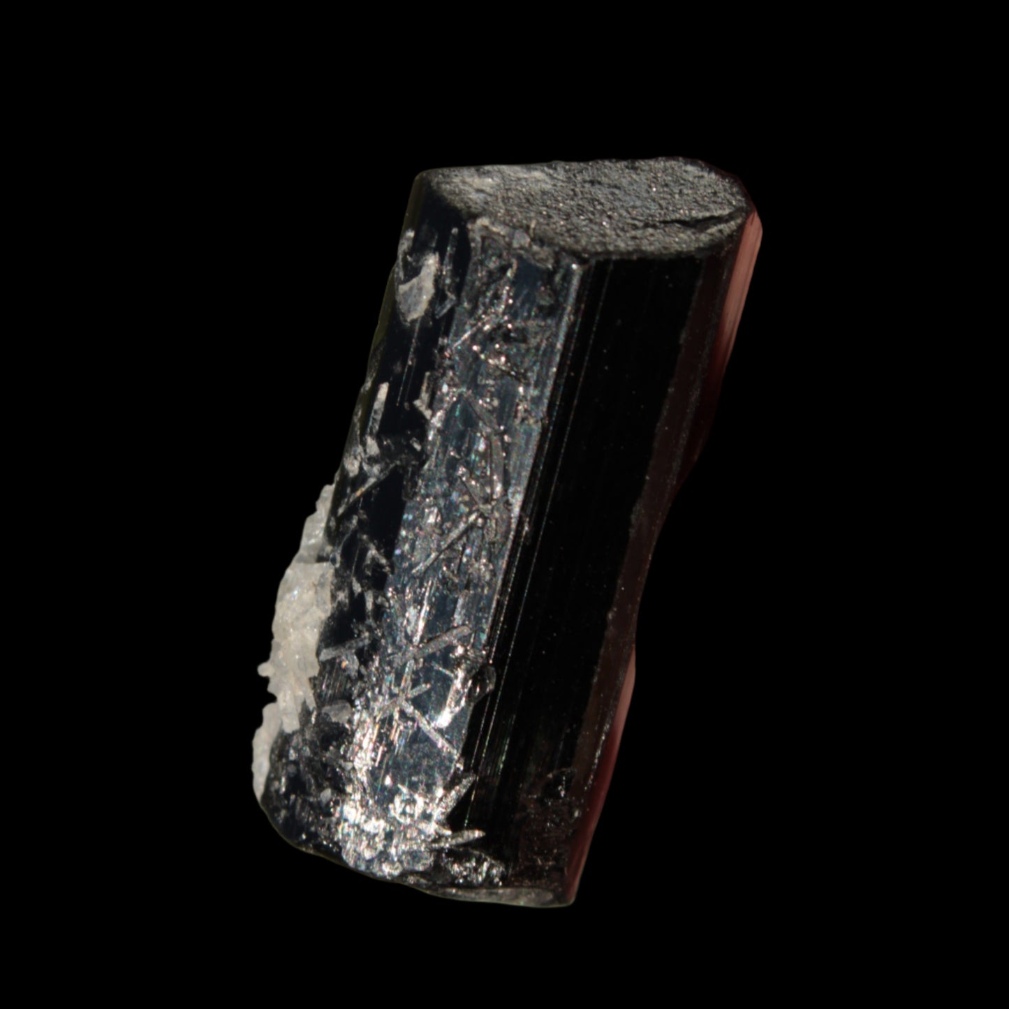 Black Tourmaline with Mica from Skardu, Pakistan 39.2ct 7.9g Rocks and Things