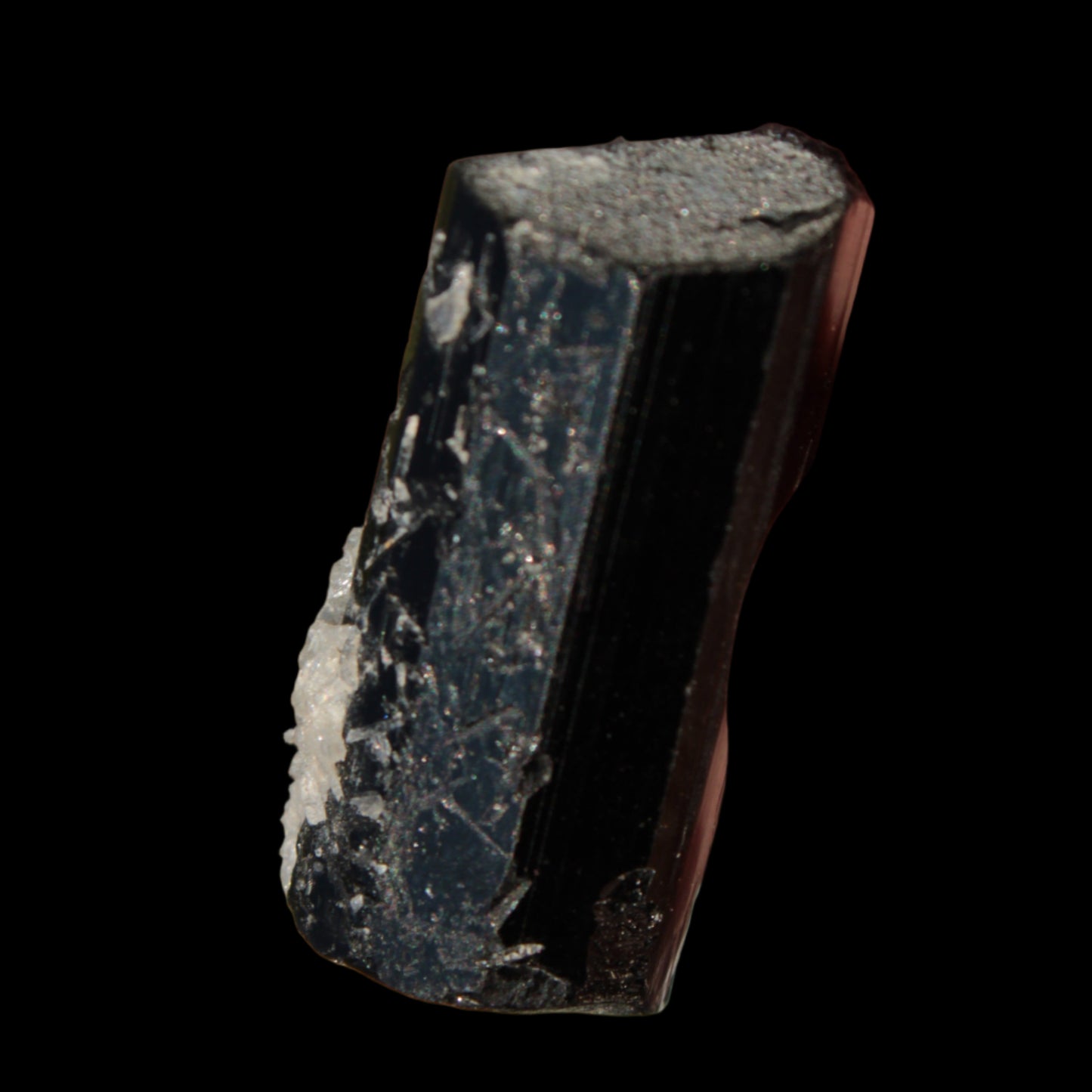 Black Tourmaline with Mica from Skardu, Pakistan 39.2ct 7.9g - Rocks and Things Store