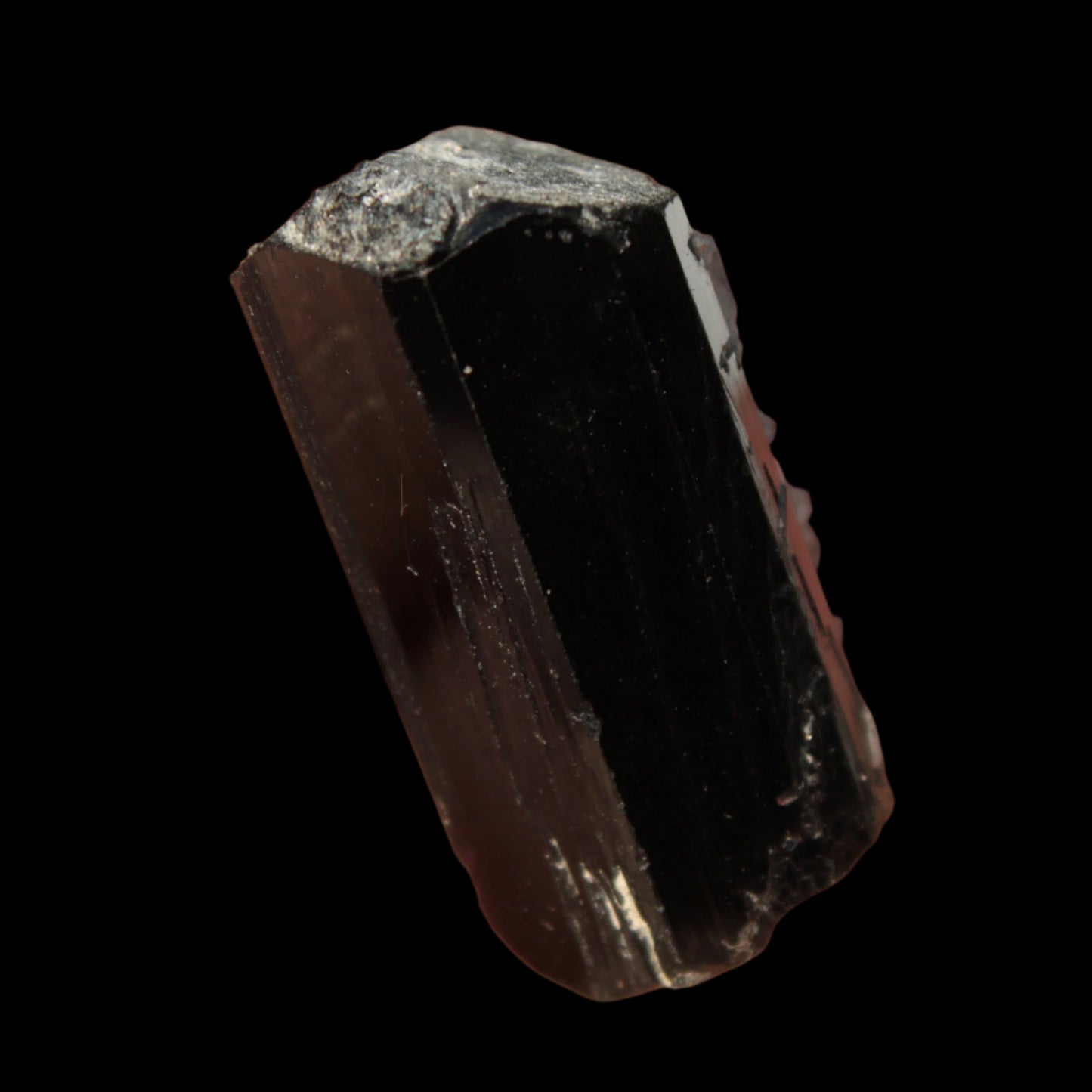 Black Tourmaline with Mica from Skardu, Pakistan 39.2ct 7.9g - Rocks and Things Store