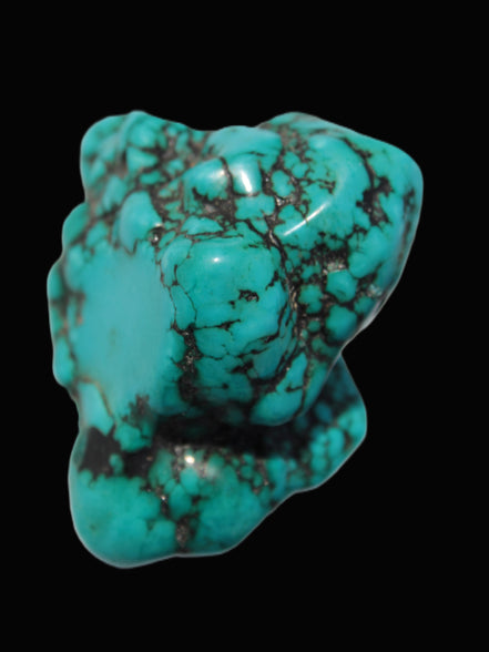 Persian Turquoise 67g - Rocks and Things Store