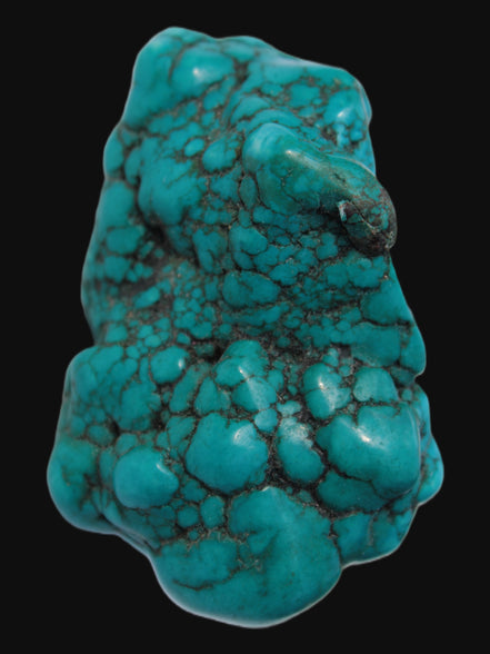 Persian Turquoise 122g - Rocks and Things Store