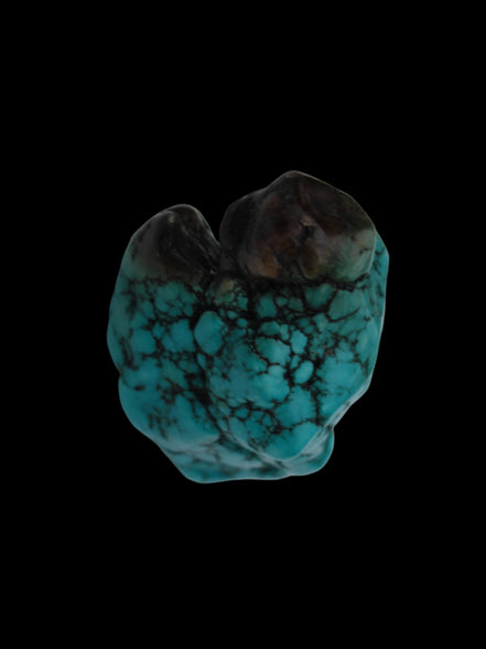 Persian Turquoise 43.8g - Rocks and Things Store