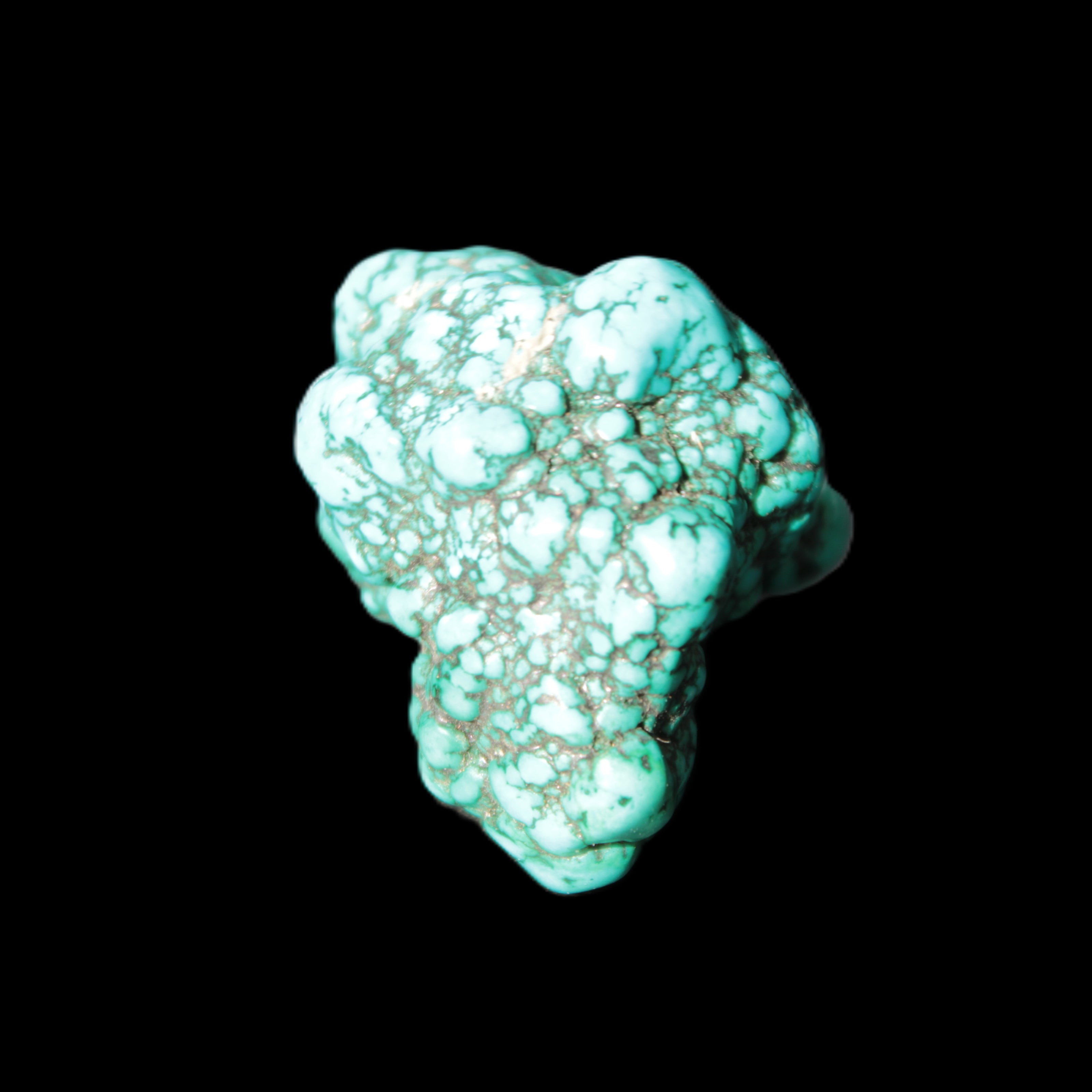 Persian Turquoise 33*45mm 55.9g