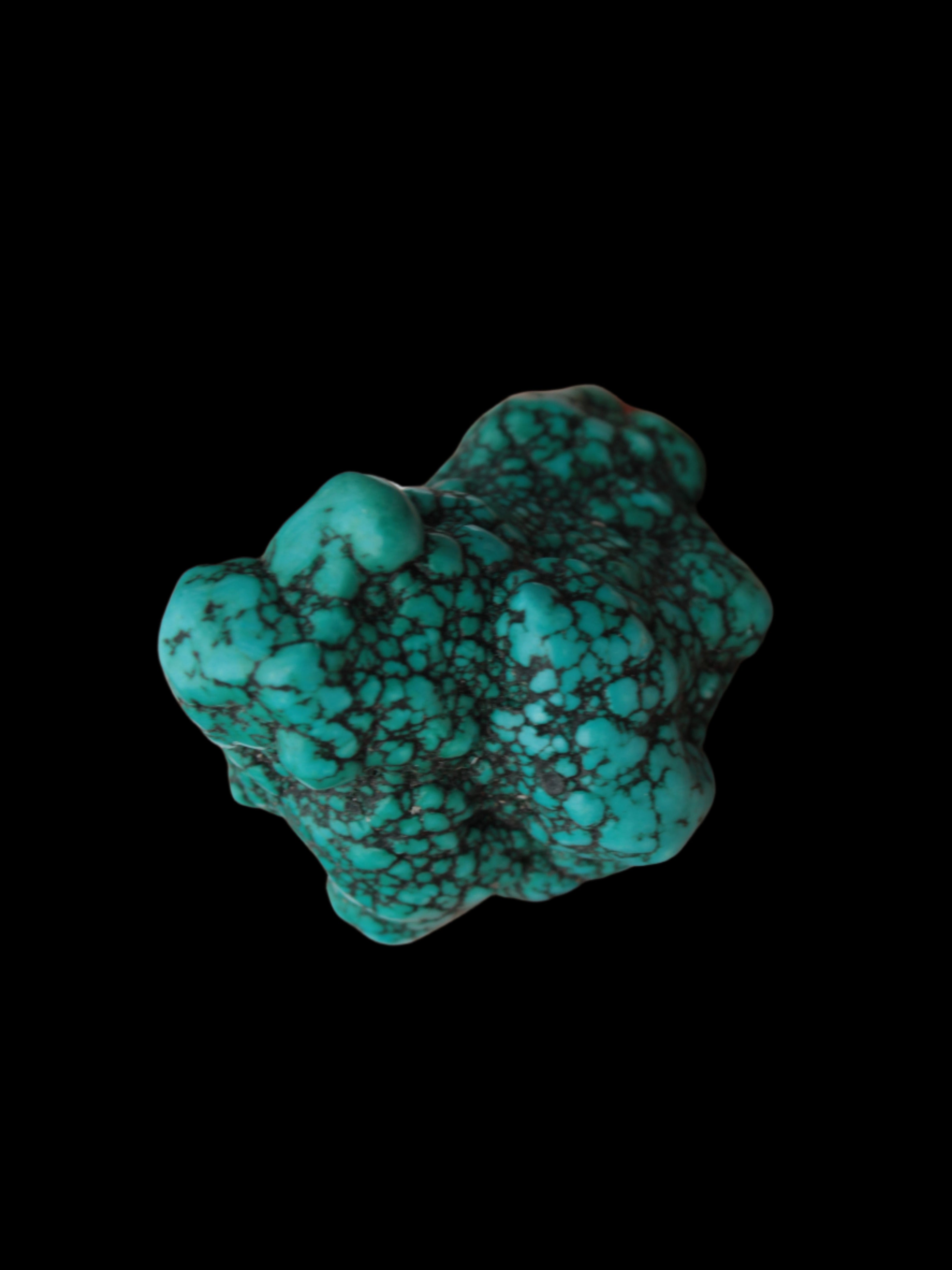 Persian Turquoise 55.8g - Rocks and Things Store