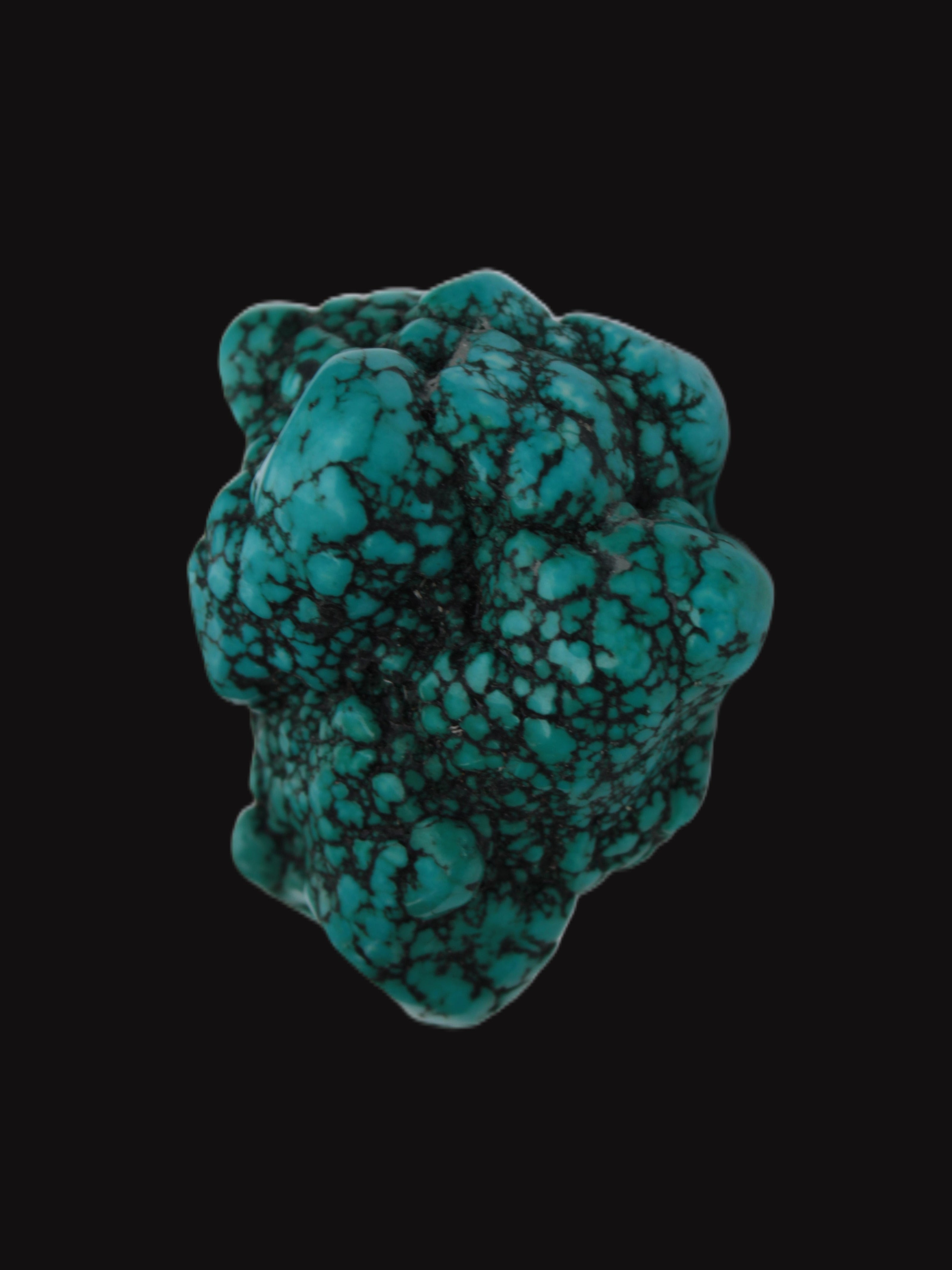 Persian Turquoise 55.8g - Rocks and Things Store