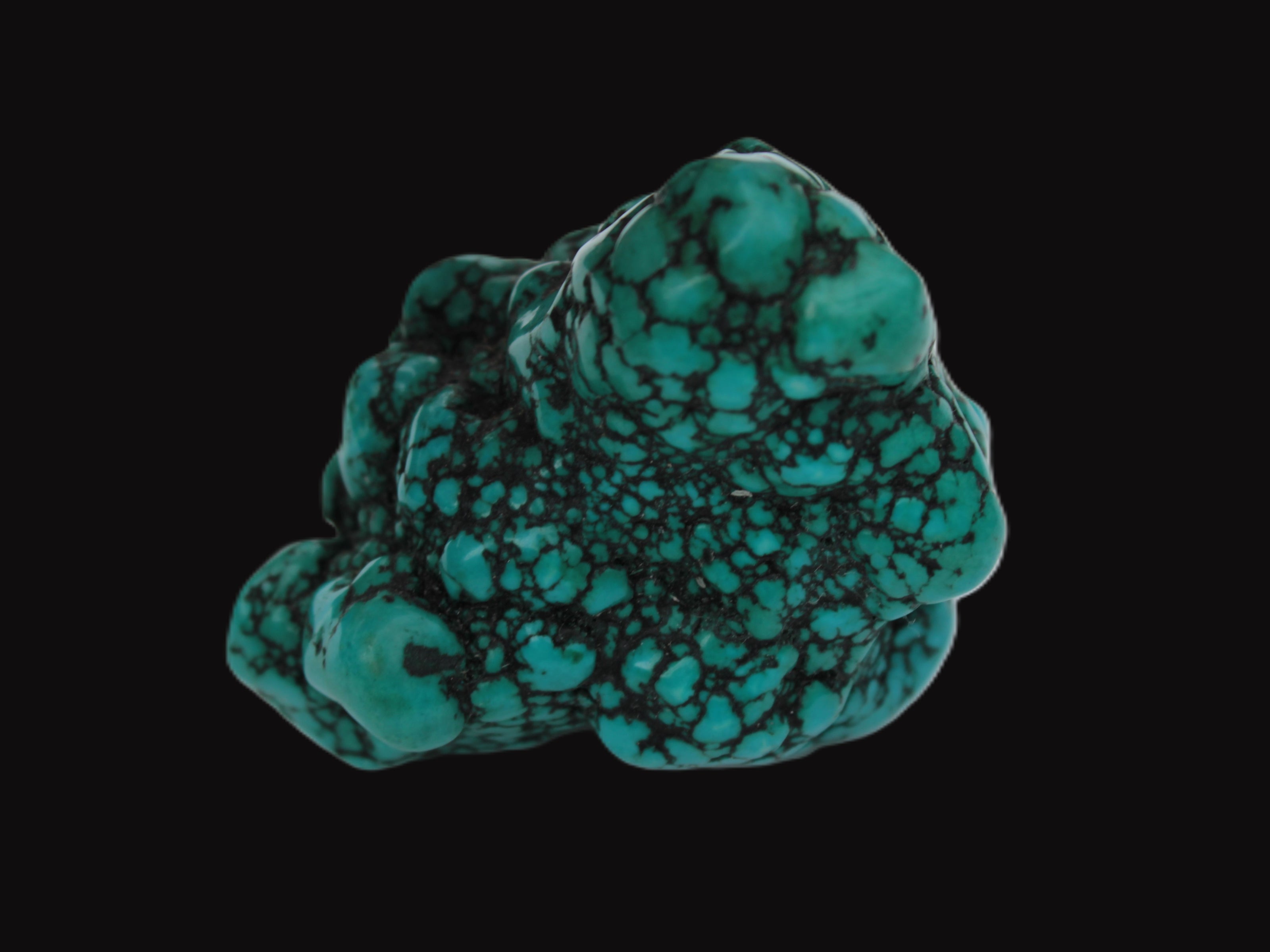 Persian Turquoise 55.8g Rocks and Things