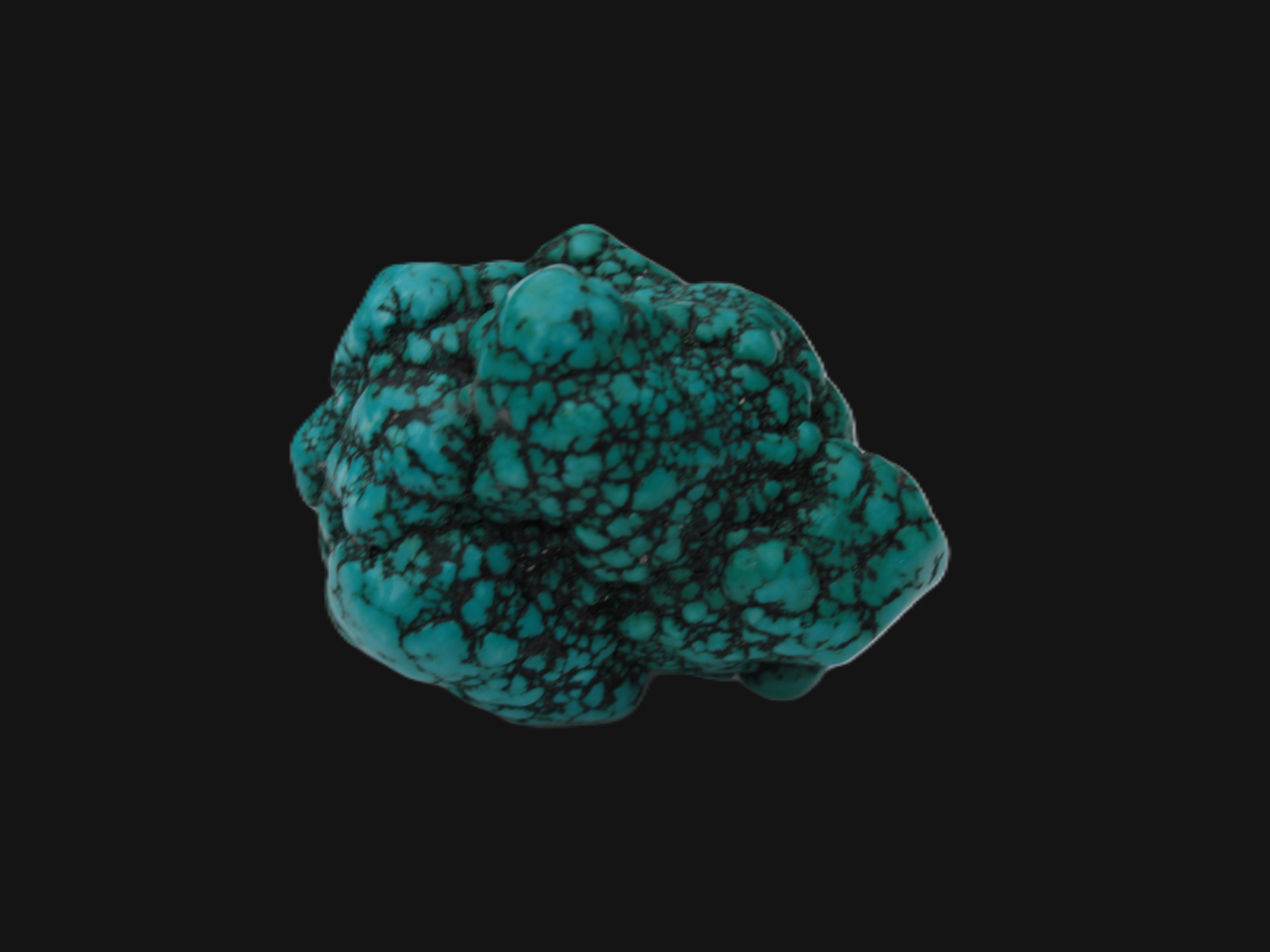 Persian Turquoise 55.8g Rocks and Things