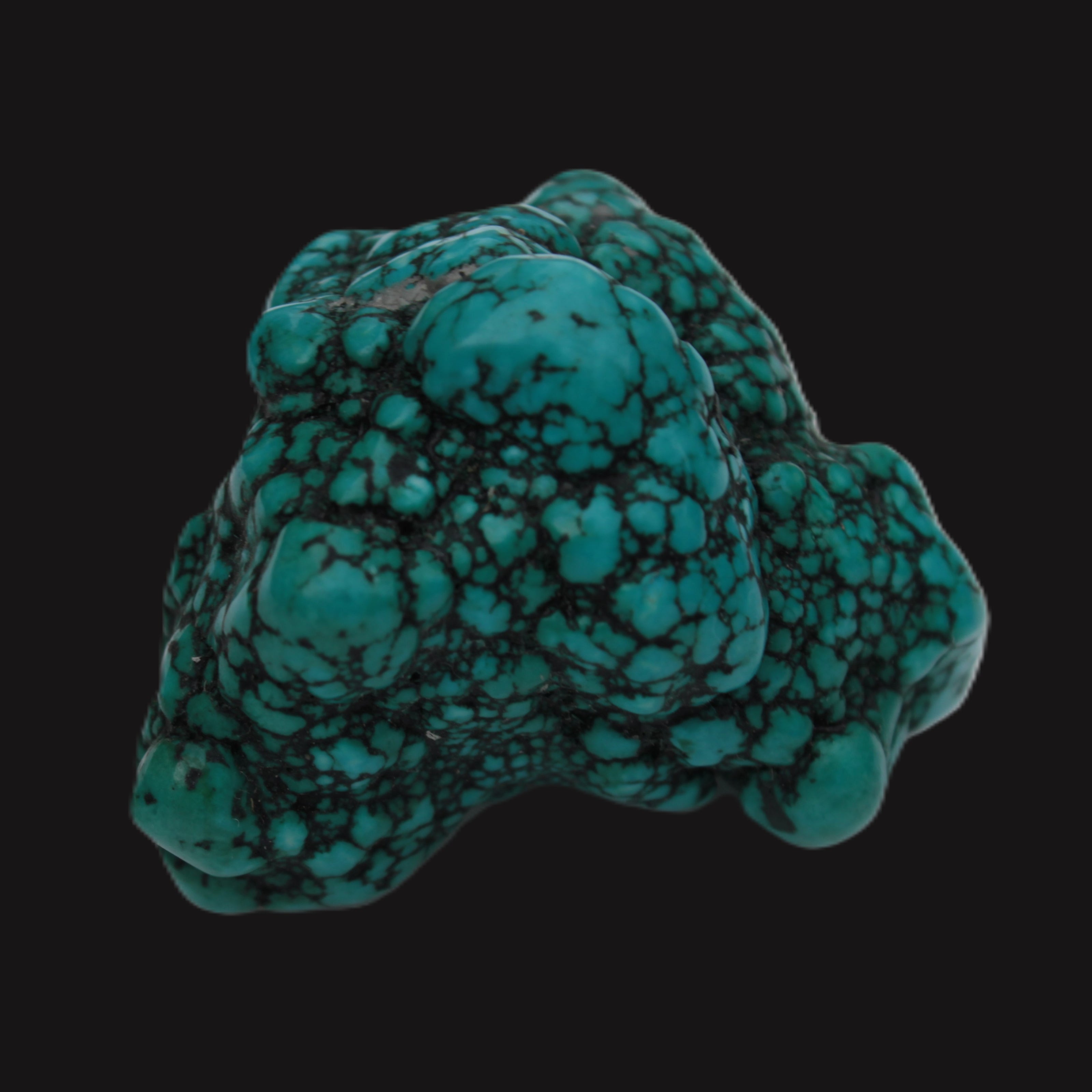 Persian Turquoise 55.8g Rocks and Things