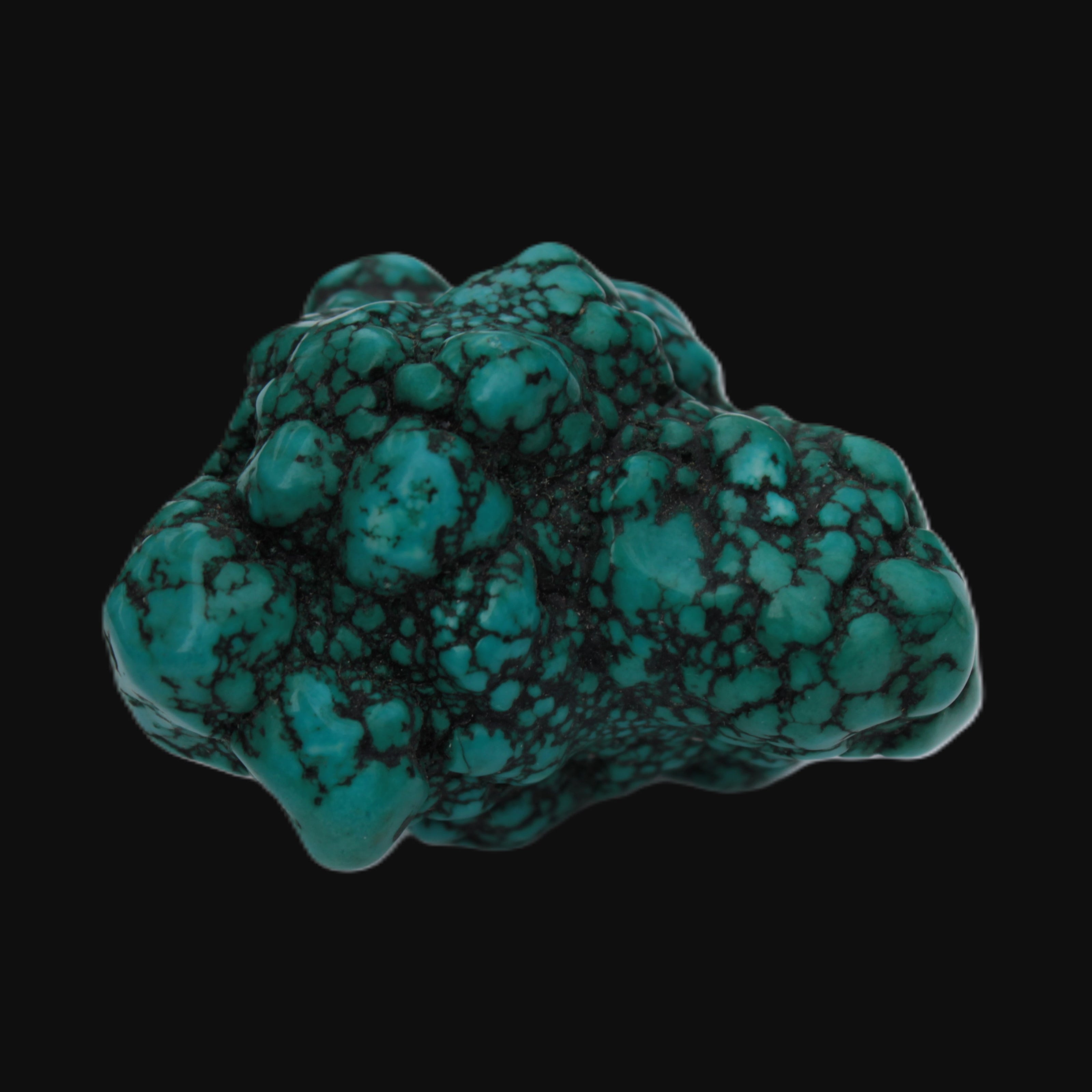 Persian Turquoise 55.8g Rocks and Things