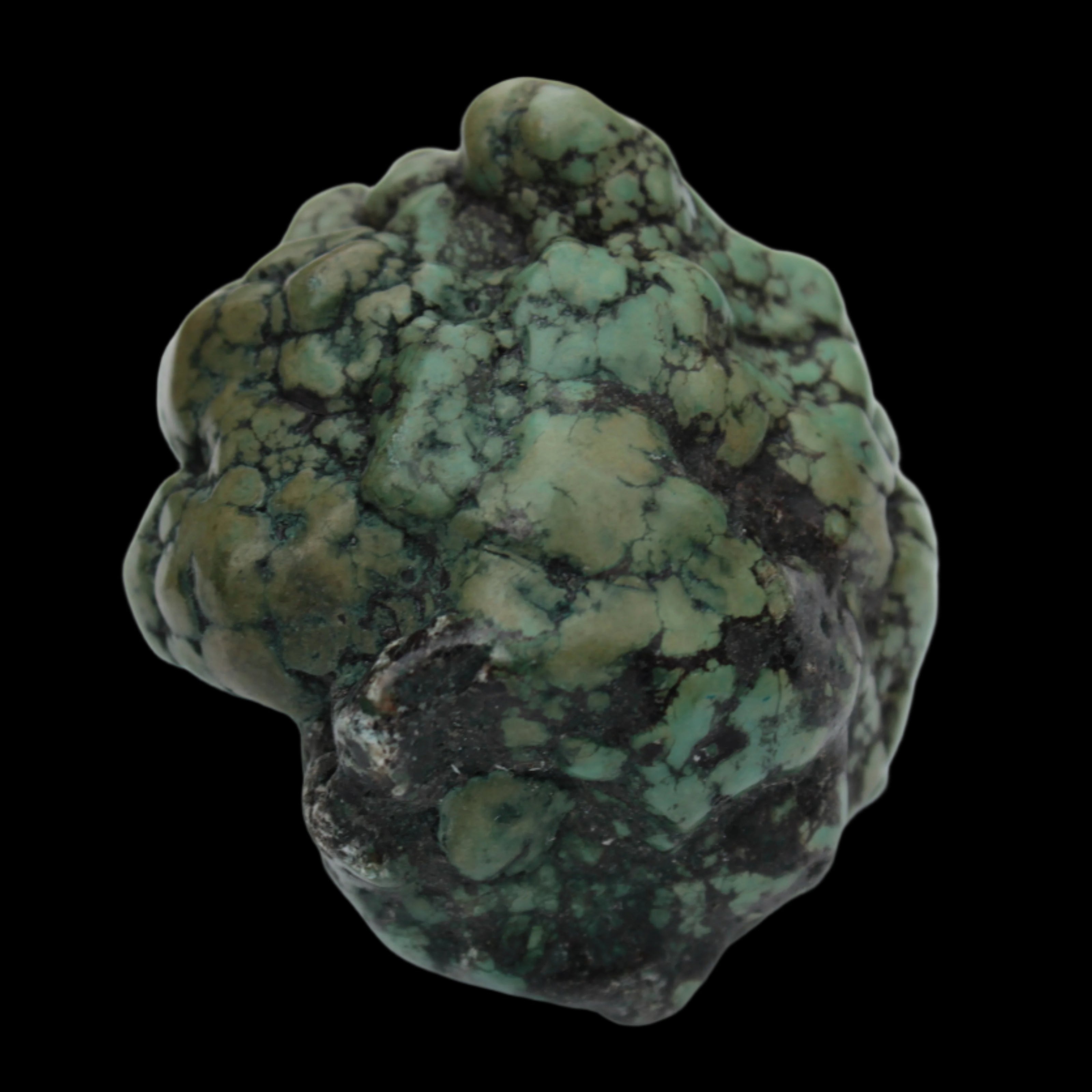 Persian Turquoise natural nodule stone 132.9g Rocks and Things