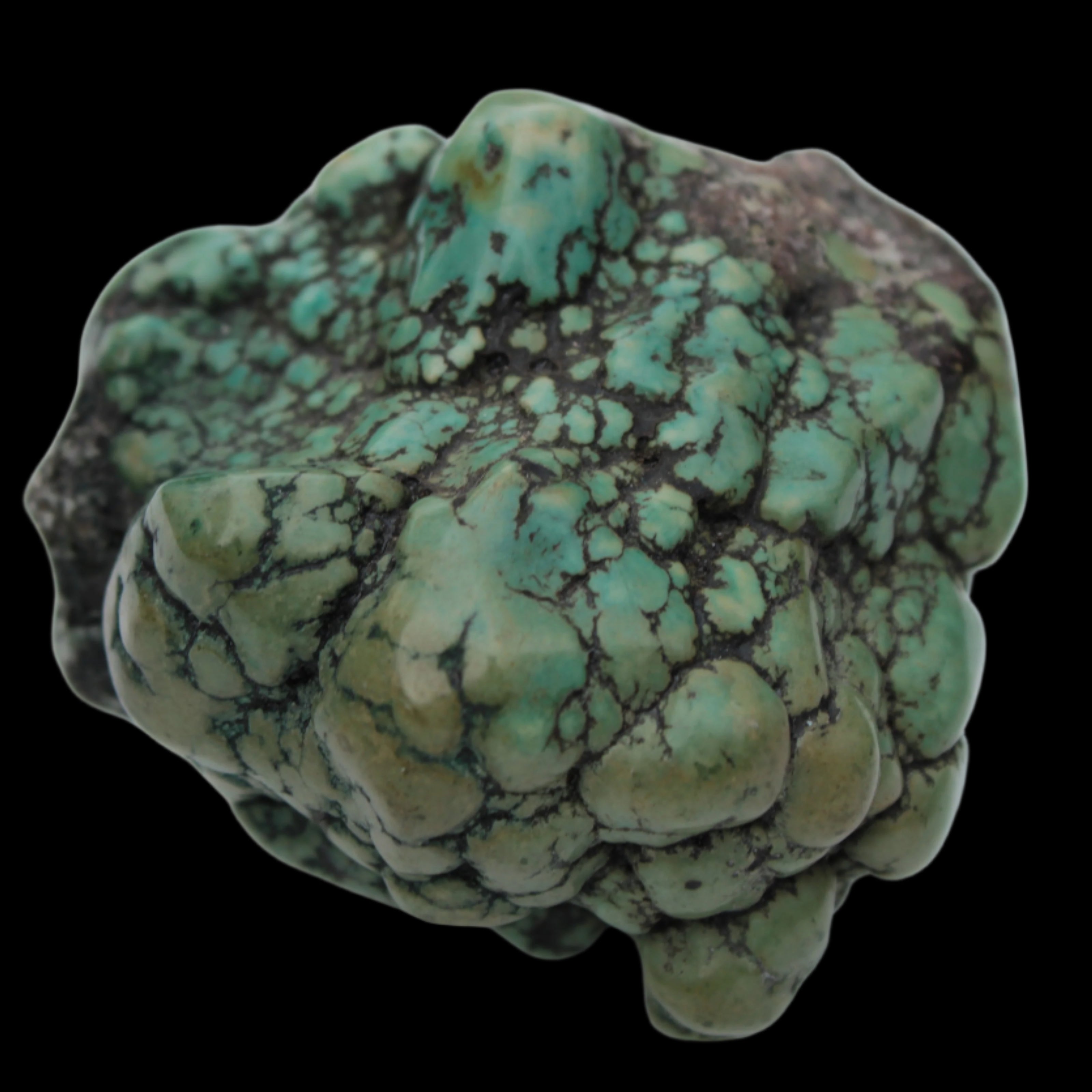 Persian Turquoise natural nodule stone 132.9g - Rocks and Things Store