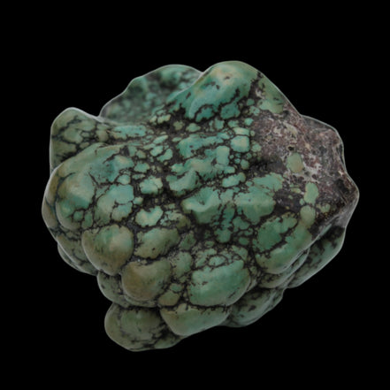Persian Turquoise natural nodule stone 132.9g Rocks and Things