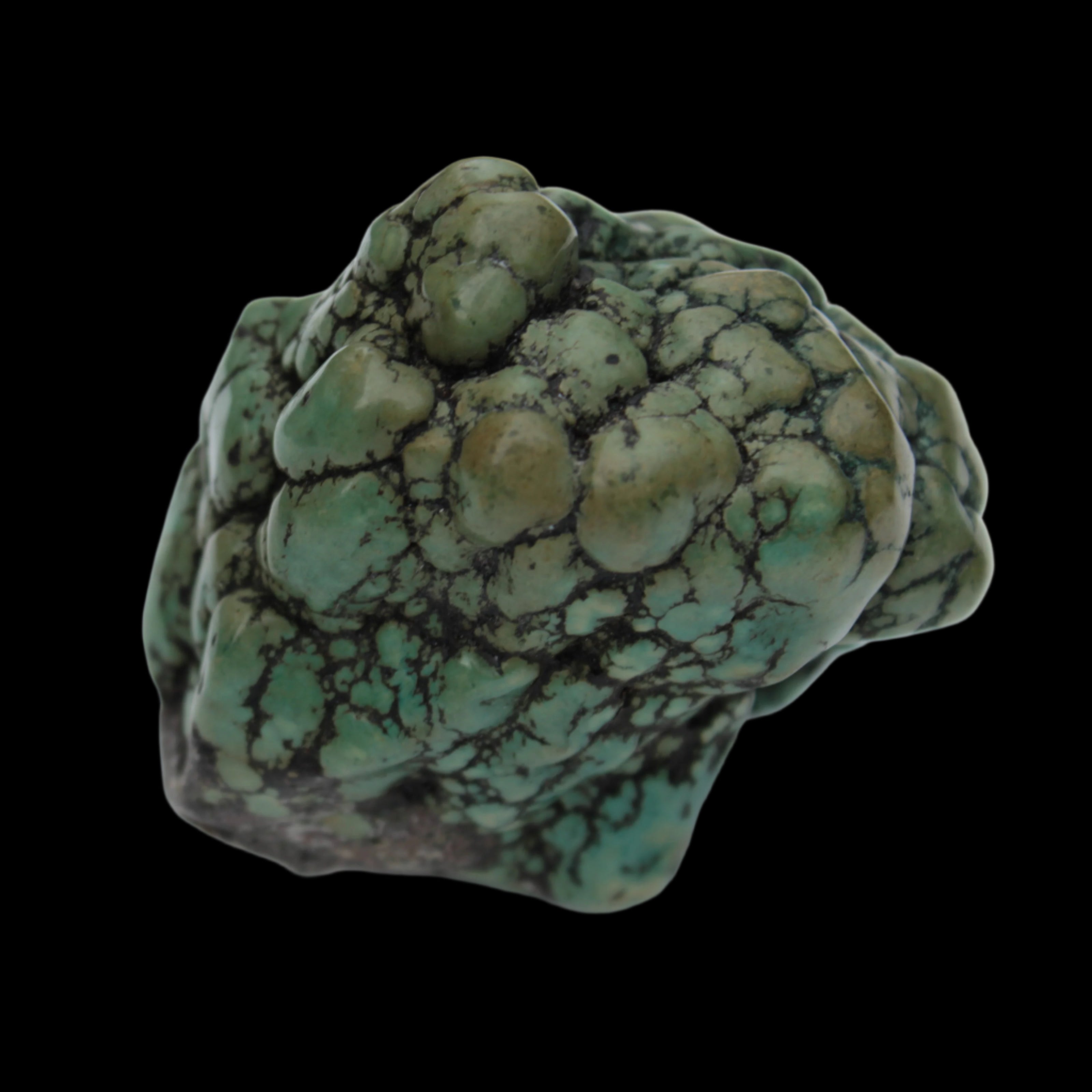 Persian Turquoise natural nodule stone 132.9g Rocks and Things