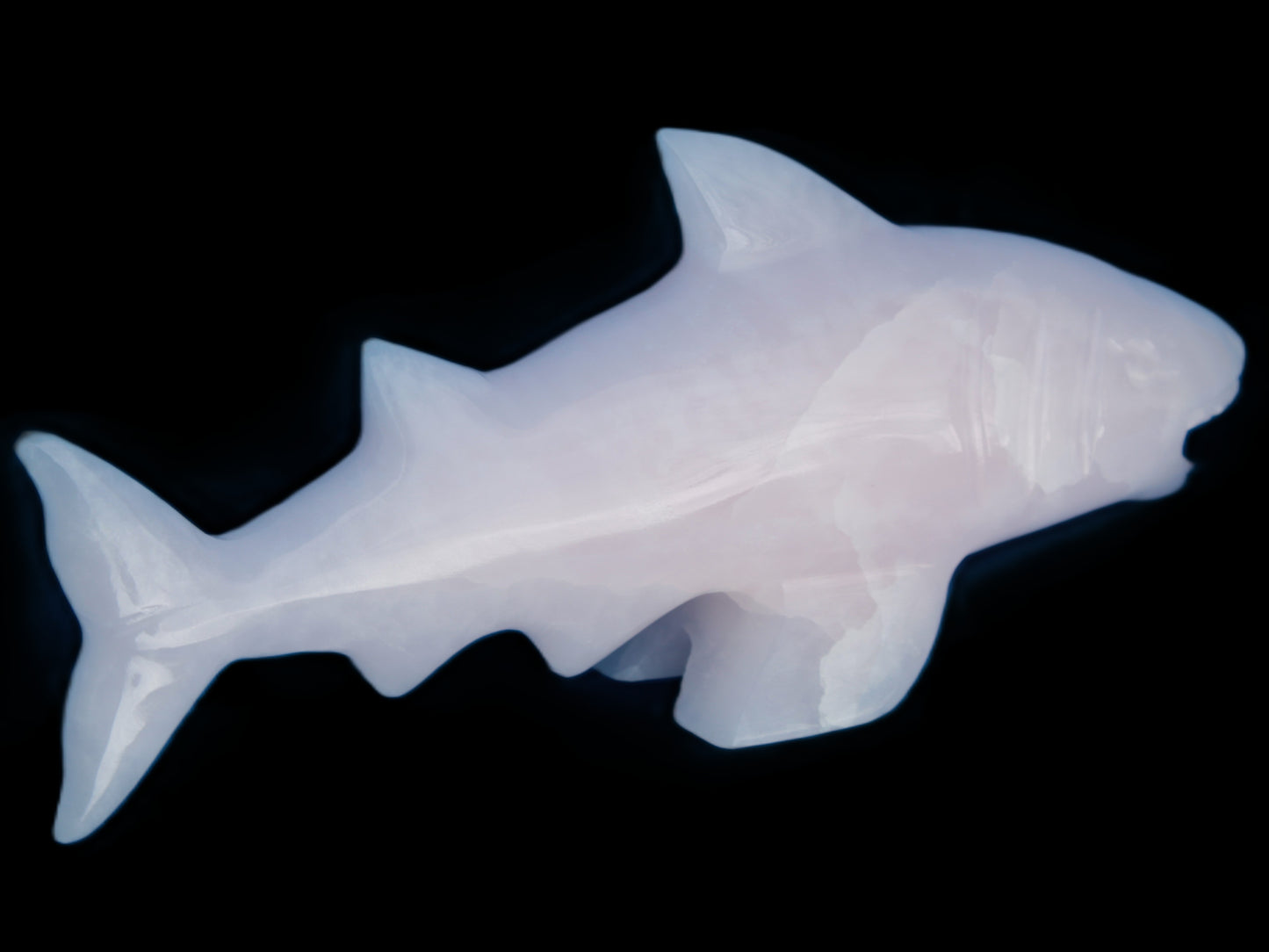 Mangano Calcite hand-carved shark 687g Rocks and Things