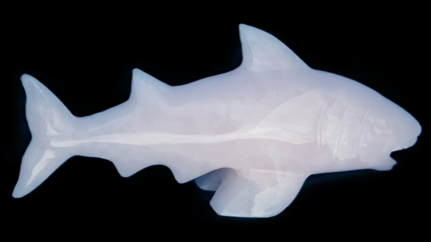 Mangano Calcite hand-carved shark 687g Rocks and Things