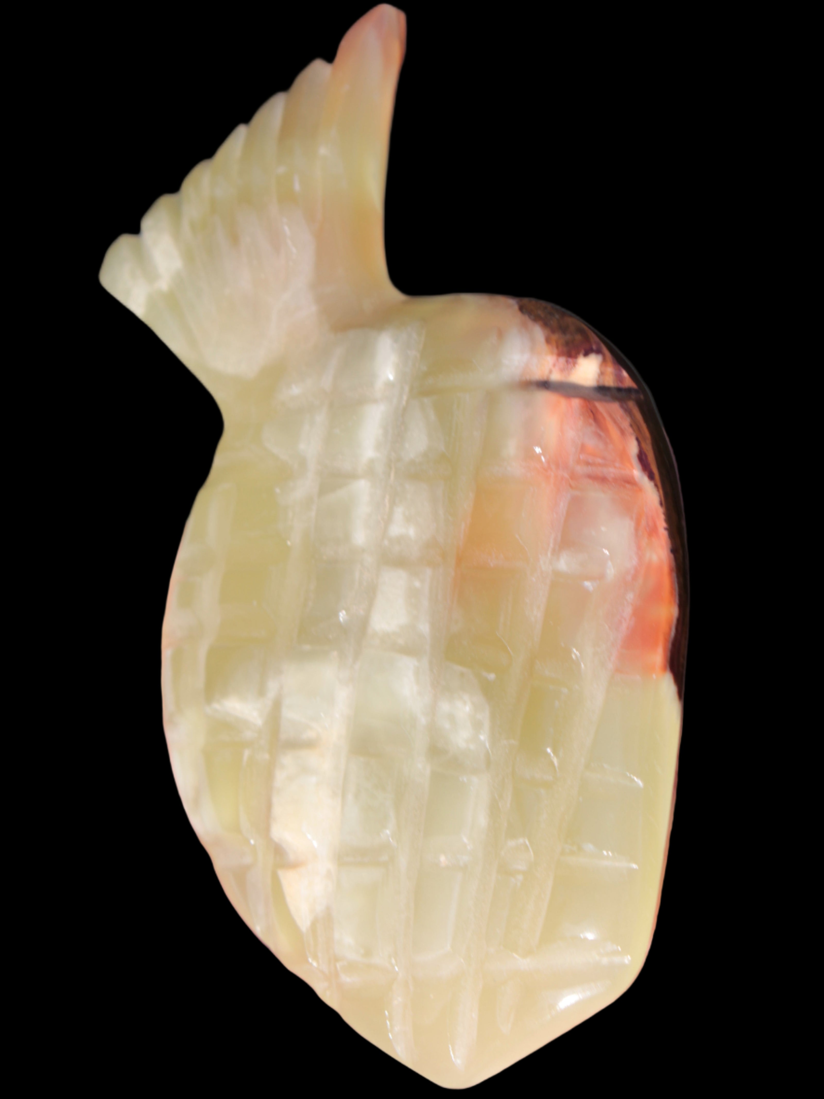 Afghan Jade pineapple 135*88mm 208.6g in sunshine - Rocks and Things Store