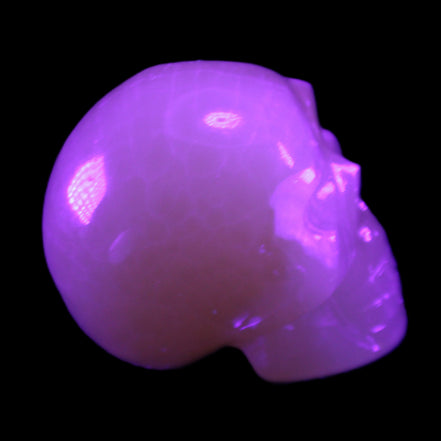 Honey Calcite skull 40*58*56mm approx., 189g in UV light - Rocks and Things Store