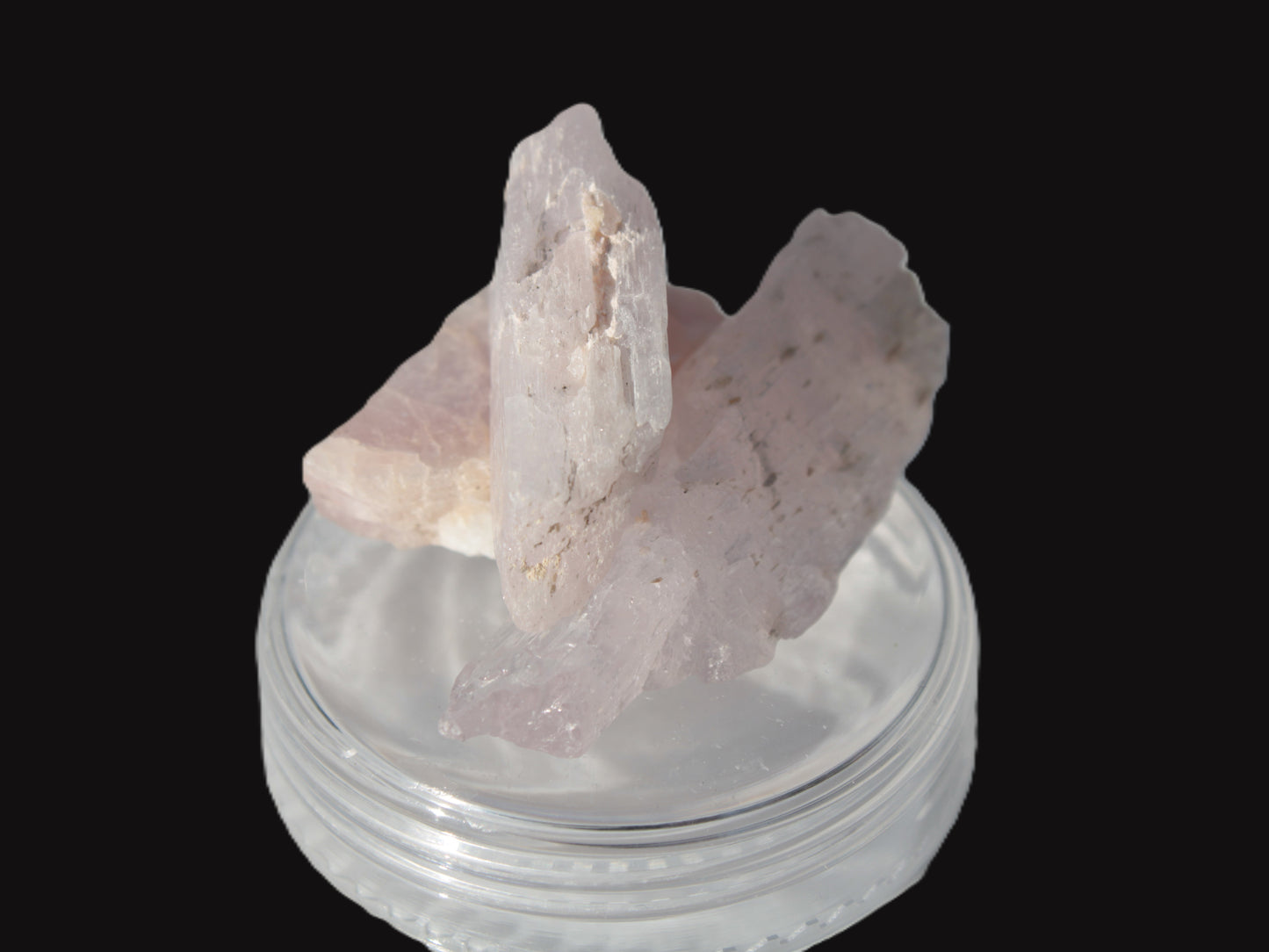 Lilac Kunzite 3 crystals from Afghanistan 28/44mm 78.5ct 15.7g Rocks and Things