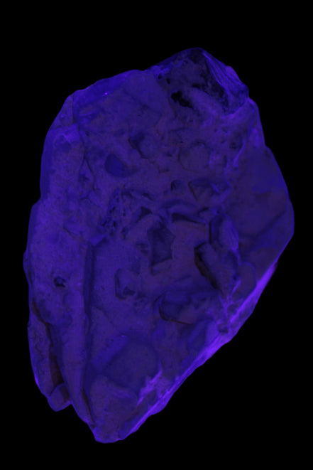 Black Tourmaline on flat-plated clear Calcite matrix from Afghanistan 65.8g in UV light - Rocks and Things Store