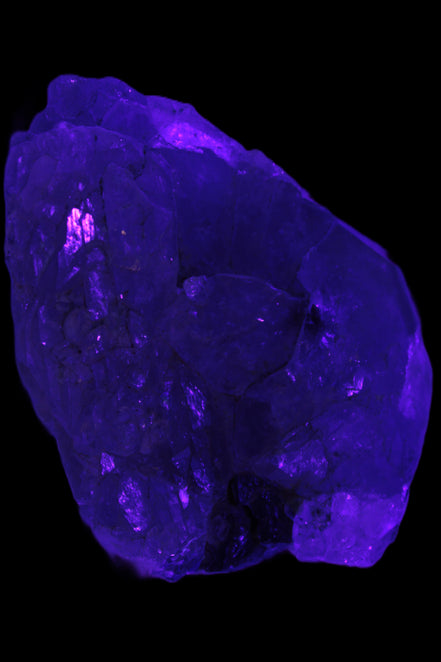 Black Tourmaline on flat-plated clear Calcite matrix from Afghanistan 65.8g in UV light - Rocks and Things Store