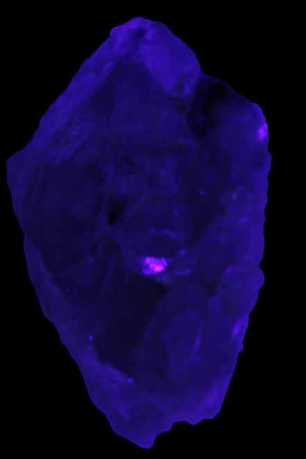 Black Tourmaline on flat-plated clear Calcite matrix from Afghanistan 65.8g in UV light - Rocks and Things Store