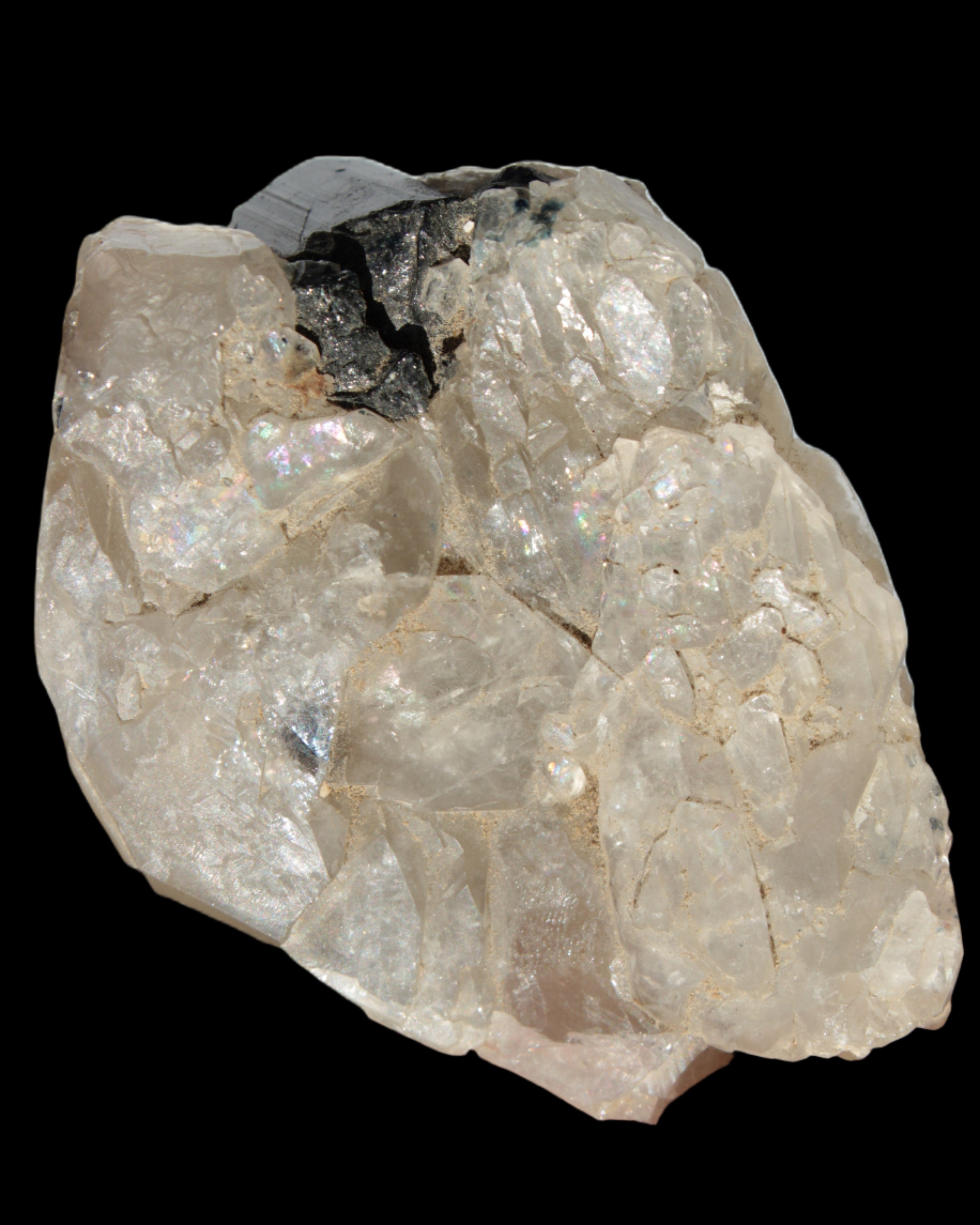 Black Tourmaline on flat-plated clear Calcite matrix from Afghanistan 65.8g in sunlight - Rocks and Things Store