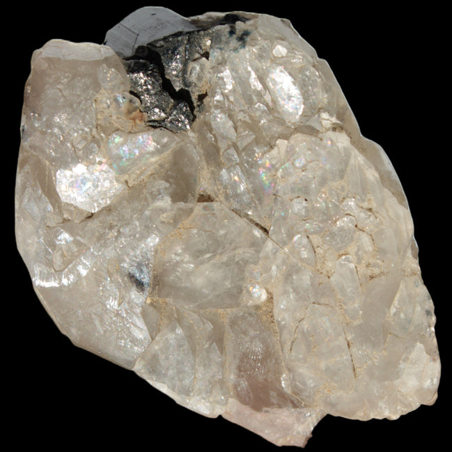 Black Tourmaline on flat-plated clear Calcite matrix from Afghanistan 65.8g in sunlight - Rocks and Things Store