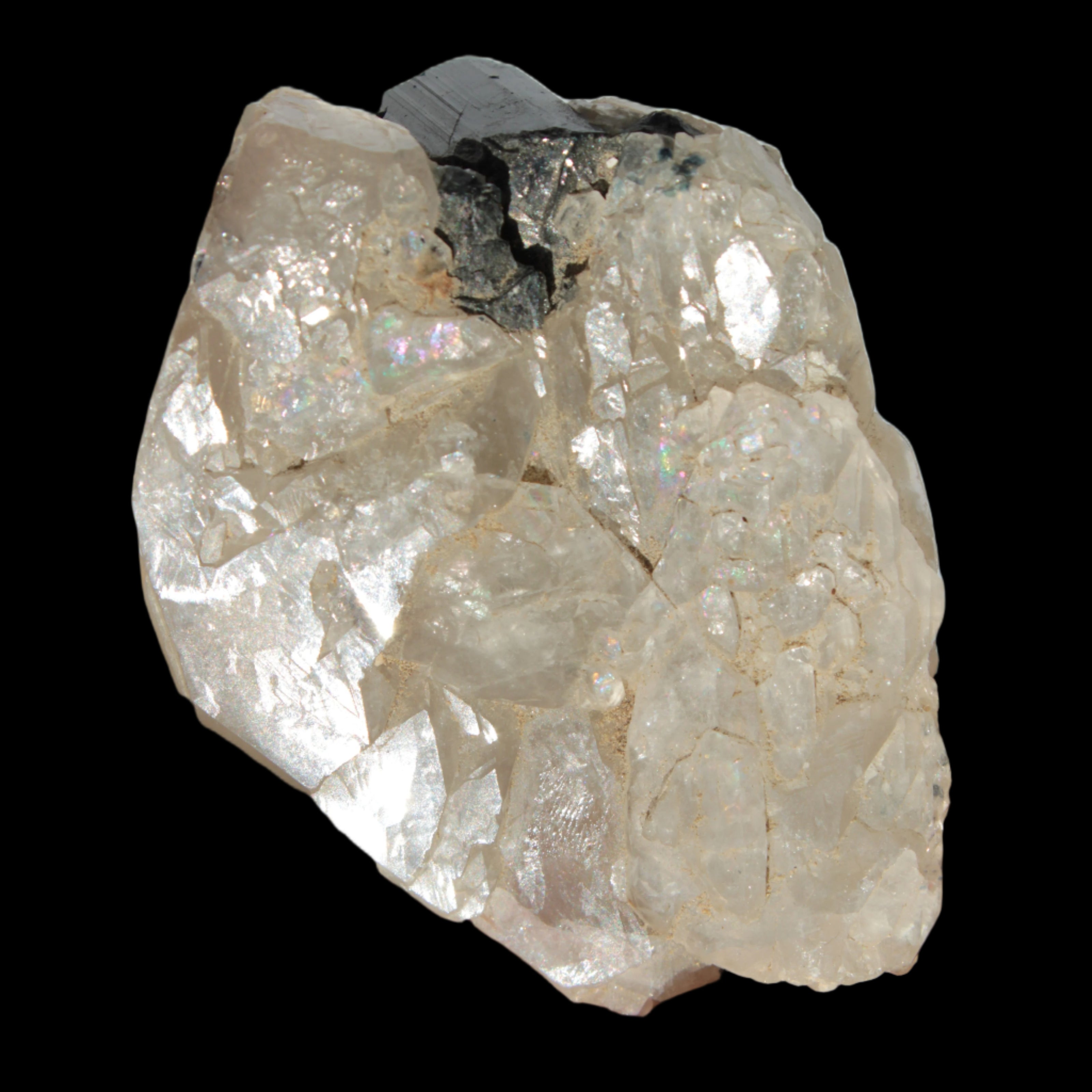 Black Tourmaline on flat-plated clear Calcite matrix from Afghanistan 65.8g in sunlight - Rocks and Things Store