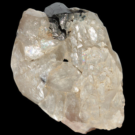 Black Tourmaline on flat-plated clear Calcite matrix from Afghanistan 65.8g in sunlight - Rocks and Things Store