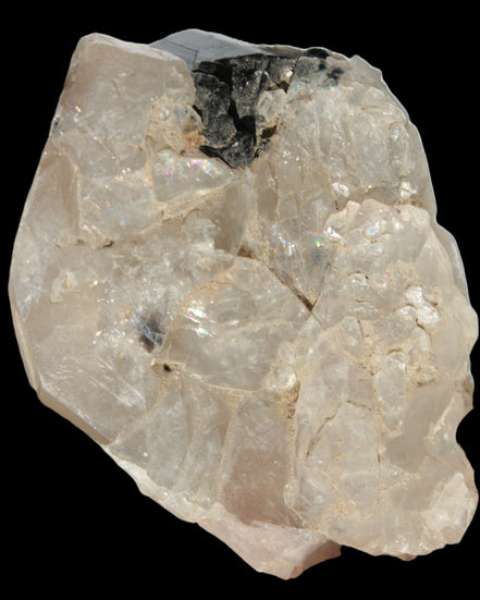 Black Tourmaline on flat-plated clear Calcite matrix from Afghanistan 65.8g in sunlight - Rocks and Things Store